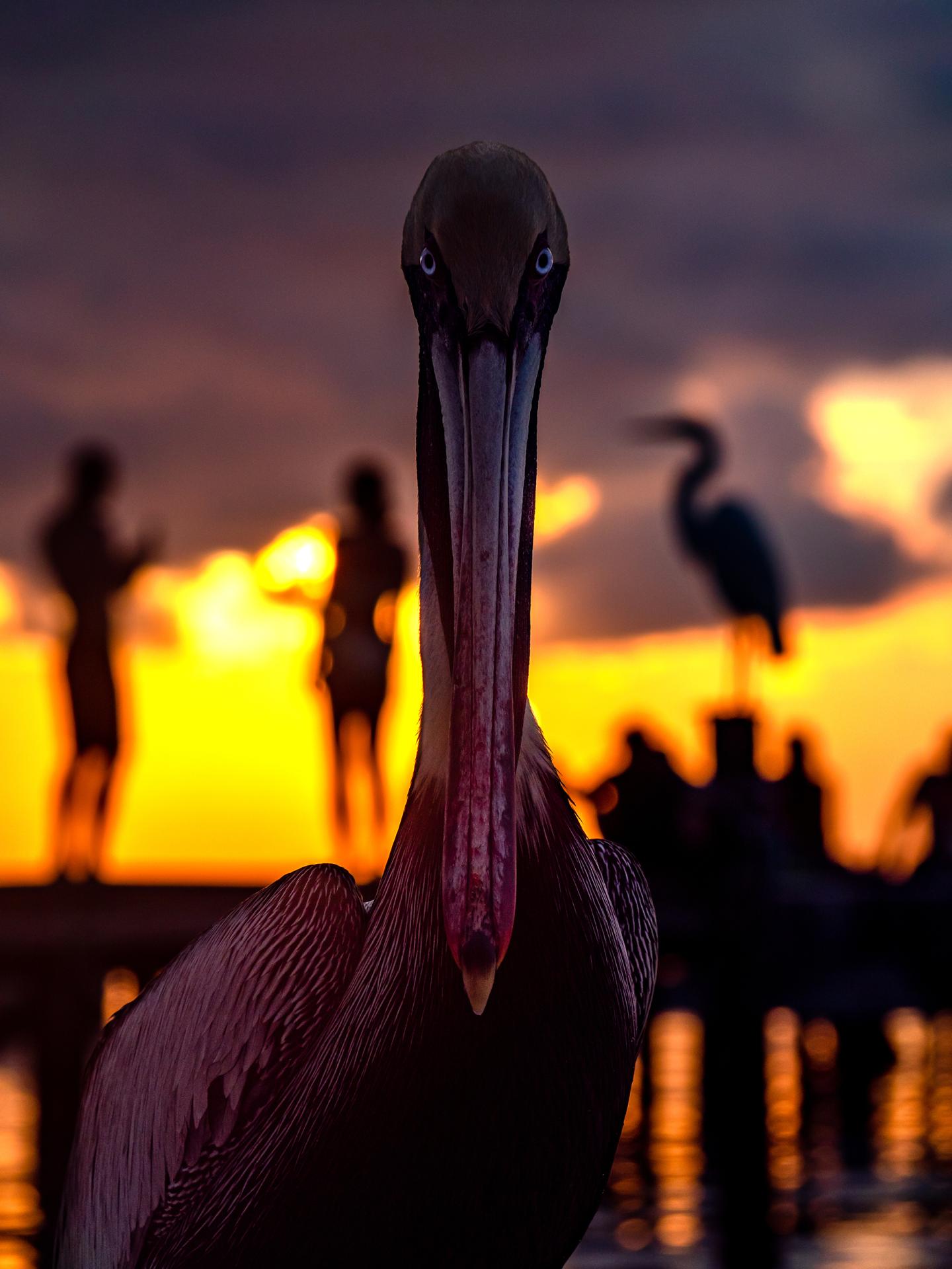 New York Photography Awards Winner - Mother Nature vs mass tourism