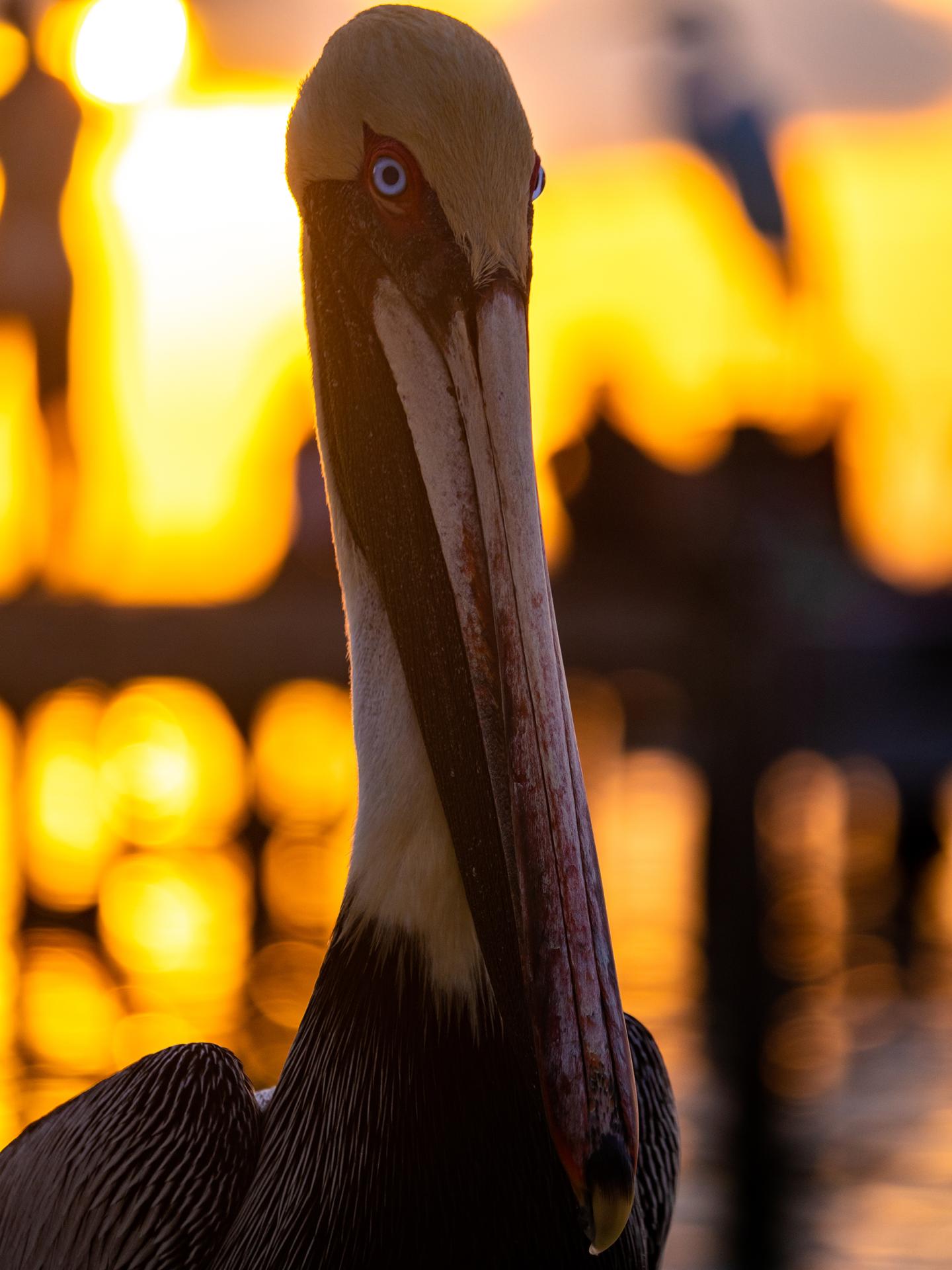 New York Photography Awards Winner - Mother Nature vs mass tourism