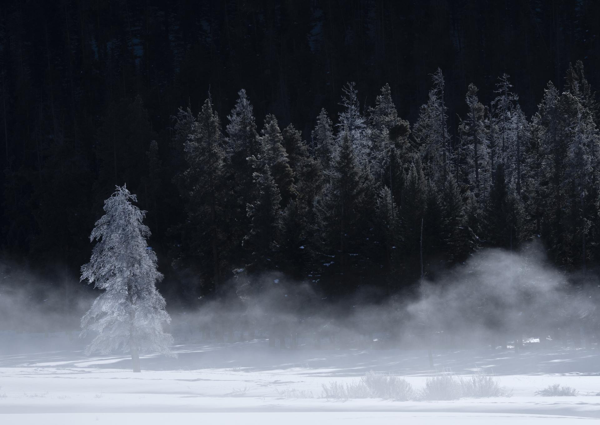 New York Photography Awards Winner - Morning Mist