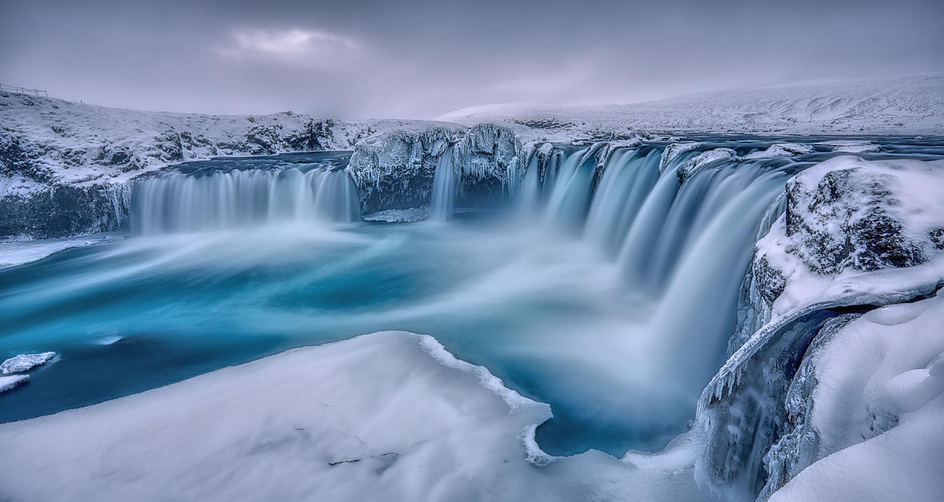 New York Photography Awards Winner - yearning for spring