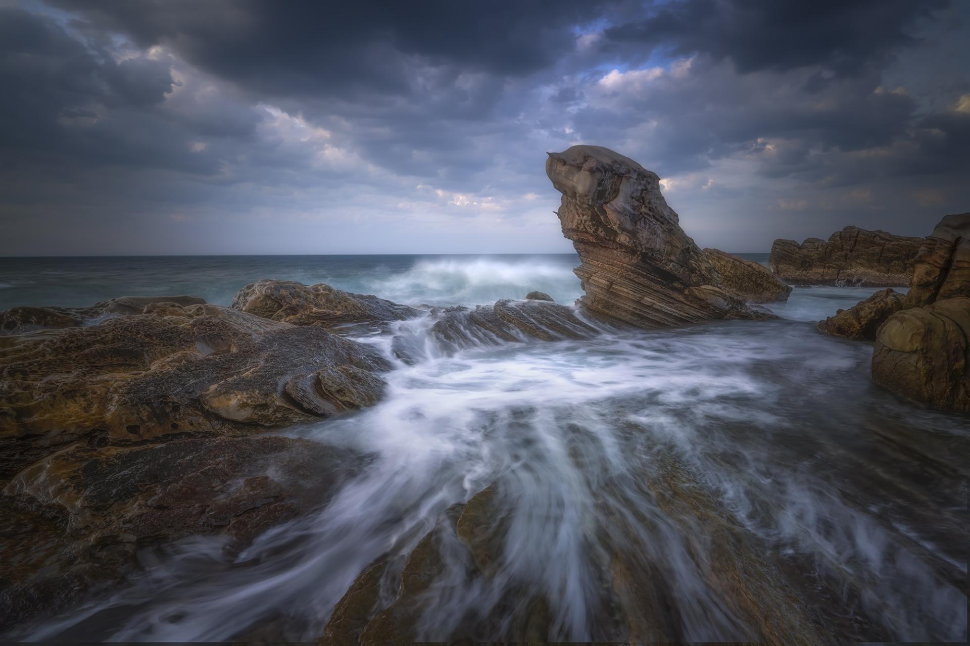 New York Photography Awards Winner - fur seal stone