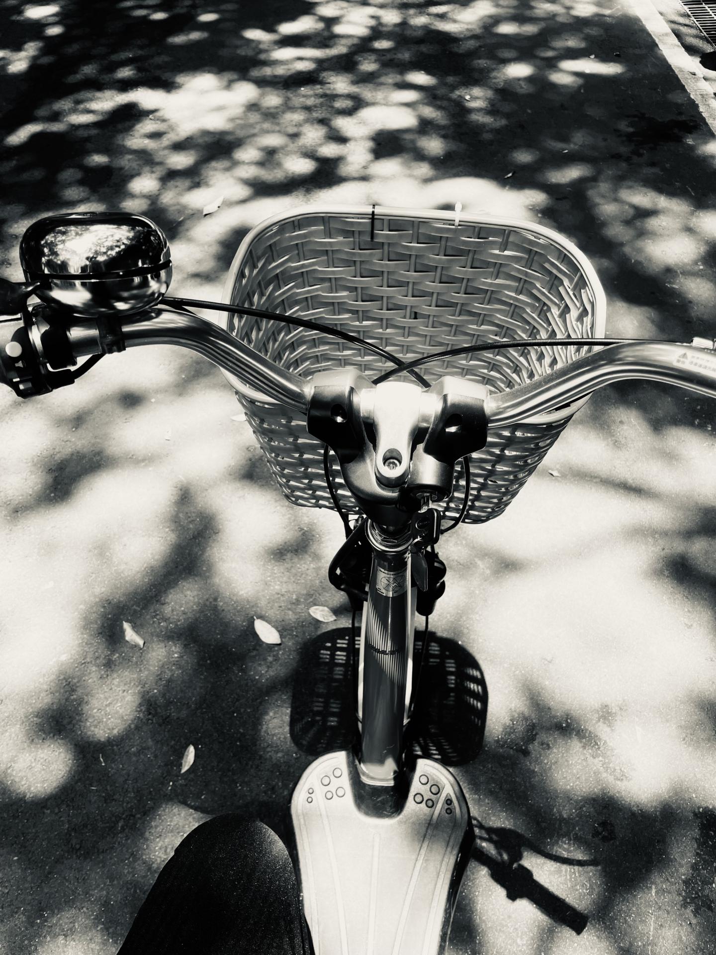 New York Photography Awards Winner - SILVERTONE-memories