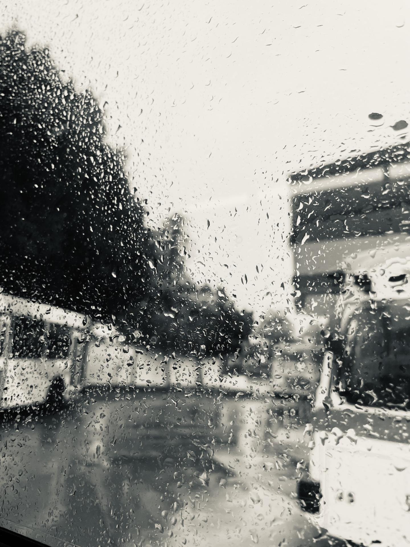 New York Photography Awards Winner - SILVERTONE-memories