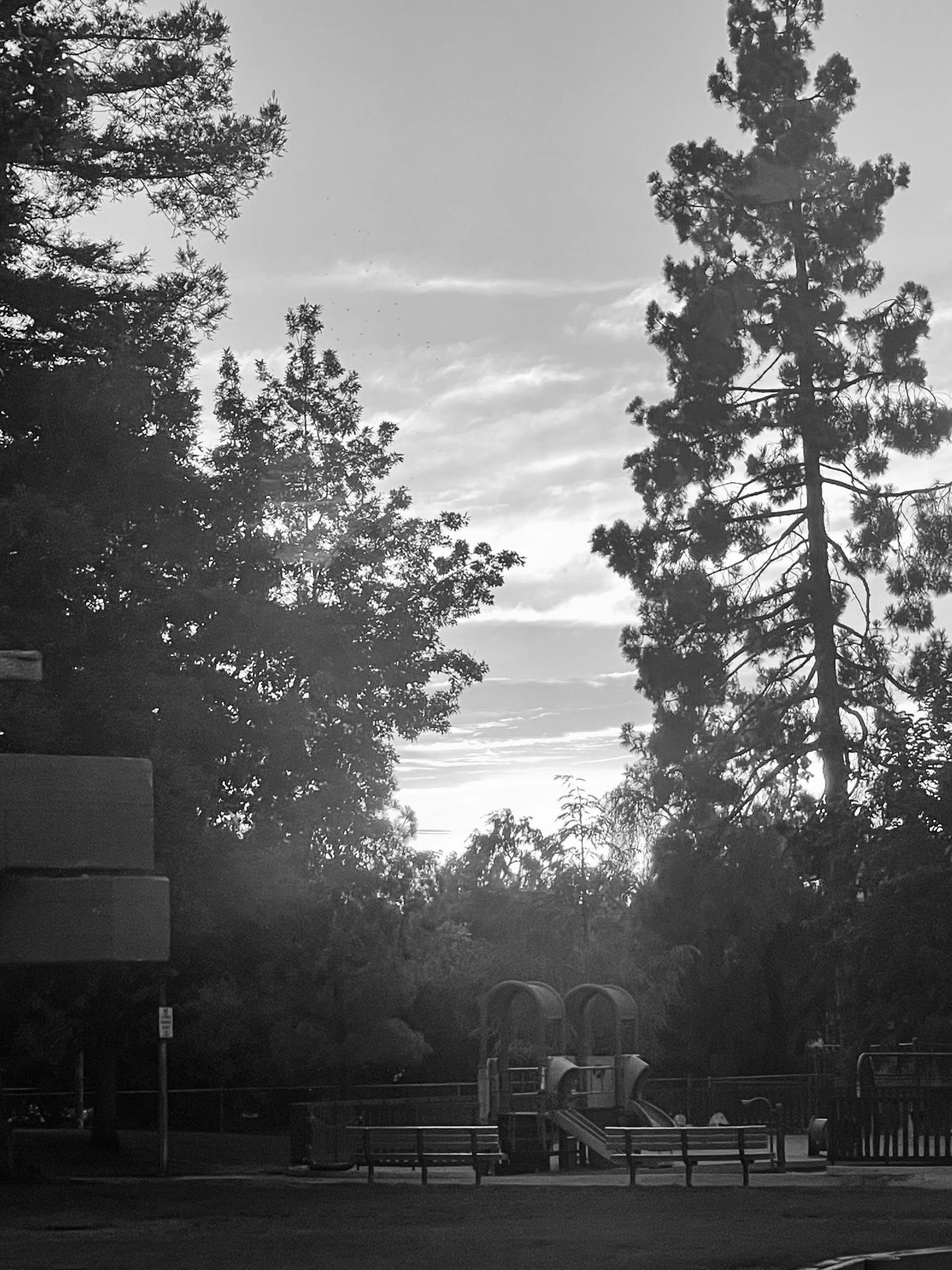 New York Photography Awards Winner - SILVERTONE-memories