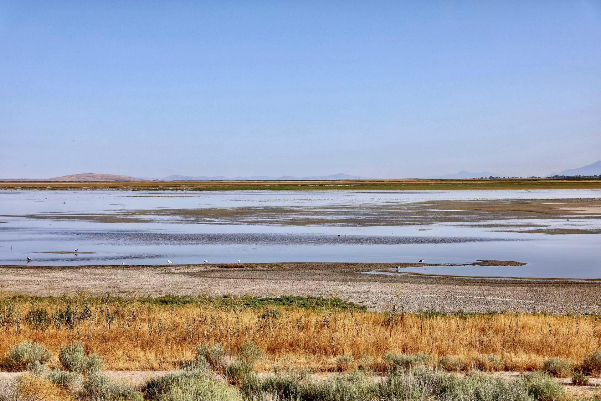 New York Photography Awards Winner - Great Salt Lake is Shriveling