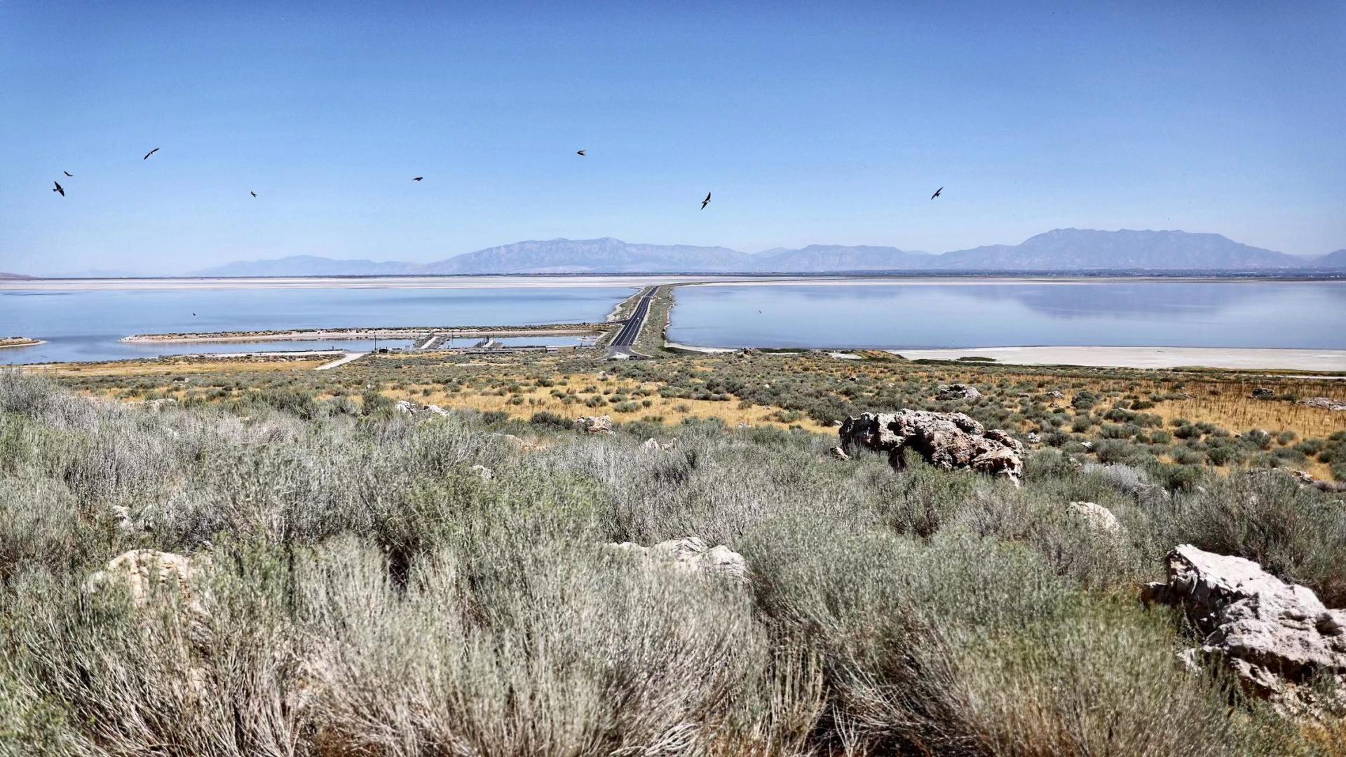 New York Photography Awards Winner - Great Salt Lake is Shriveling