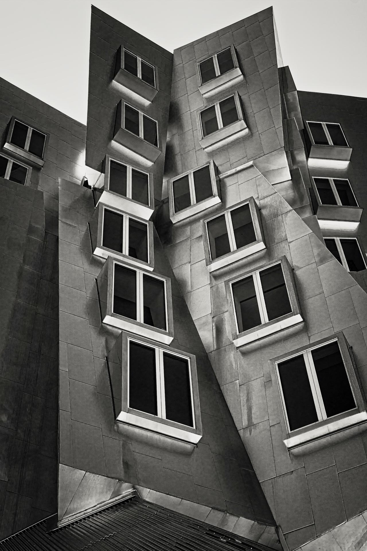 New York Photography Awards Winner - Stata