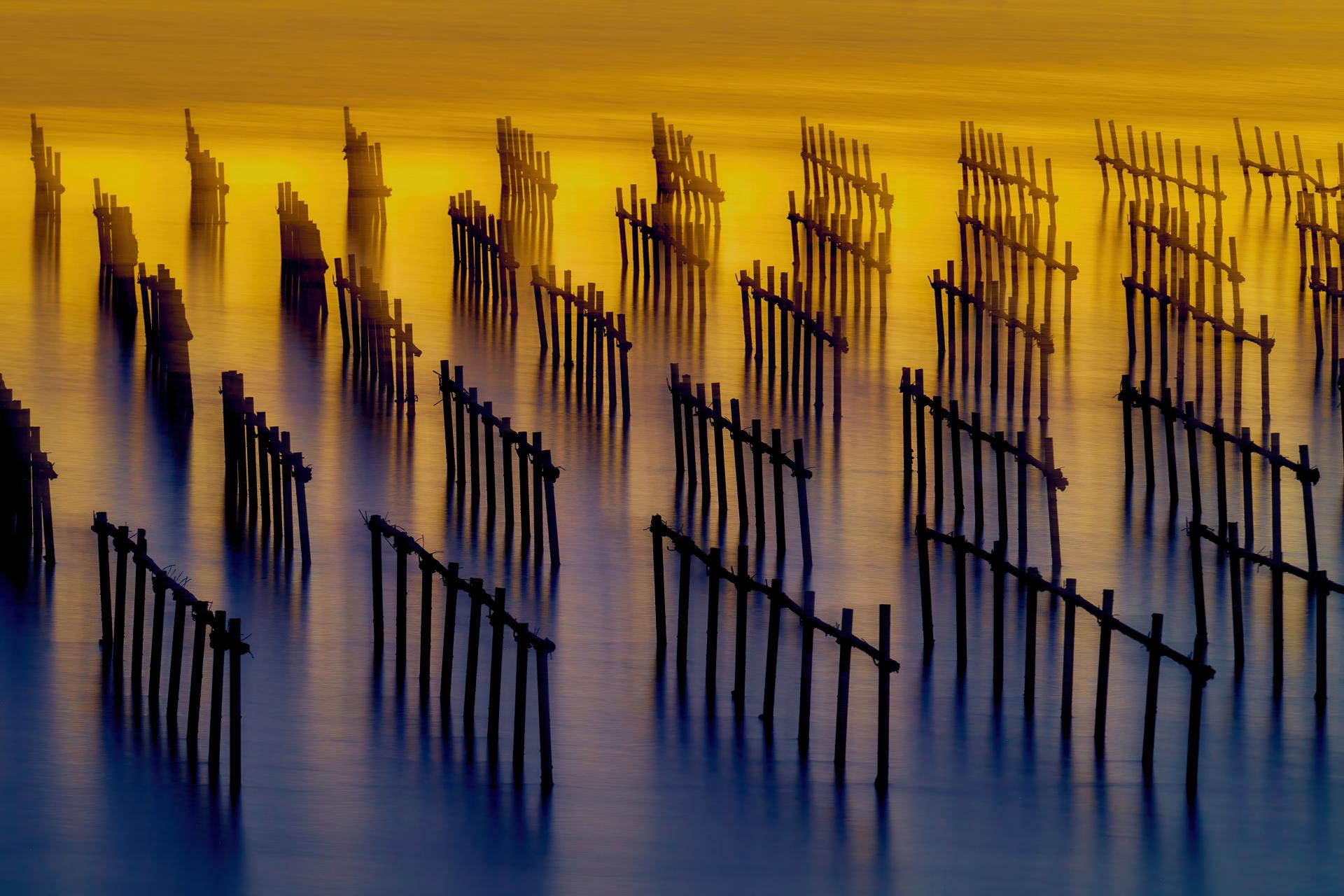 New York Photography Awards Winner - oyster sheds light and shadow water flow