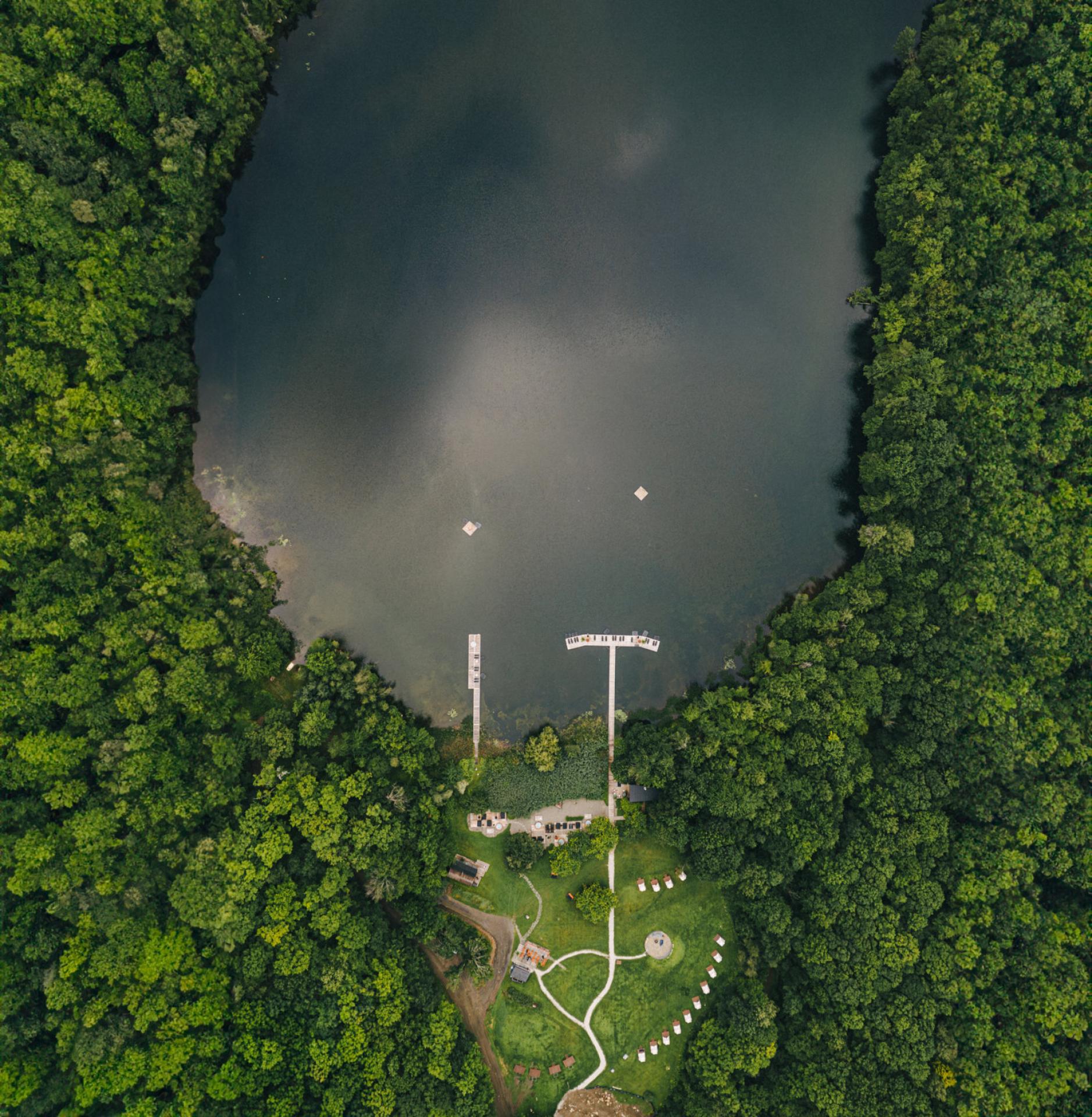 New York Photography Awards Winner - In the middle of the forest