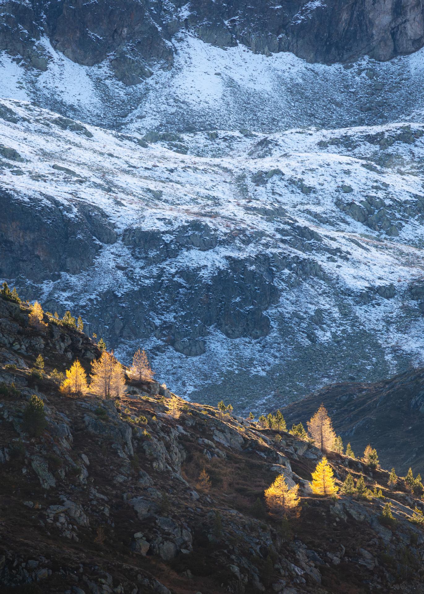 New York Photography Awards Winner - Last Display of Autumn