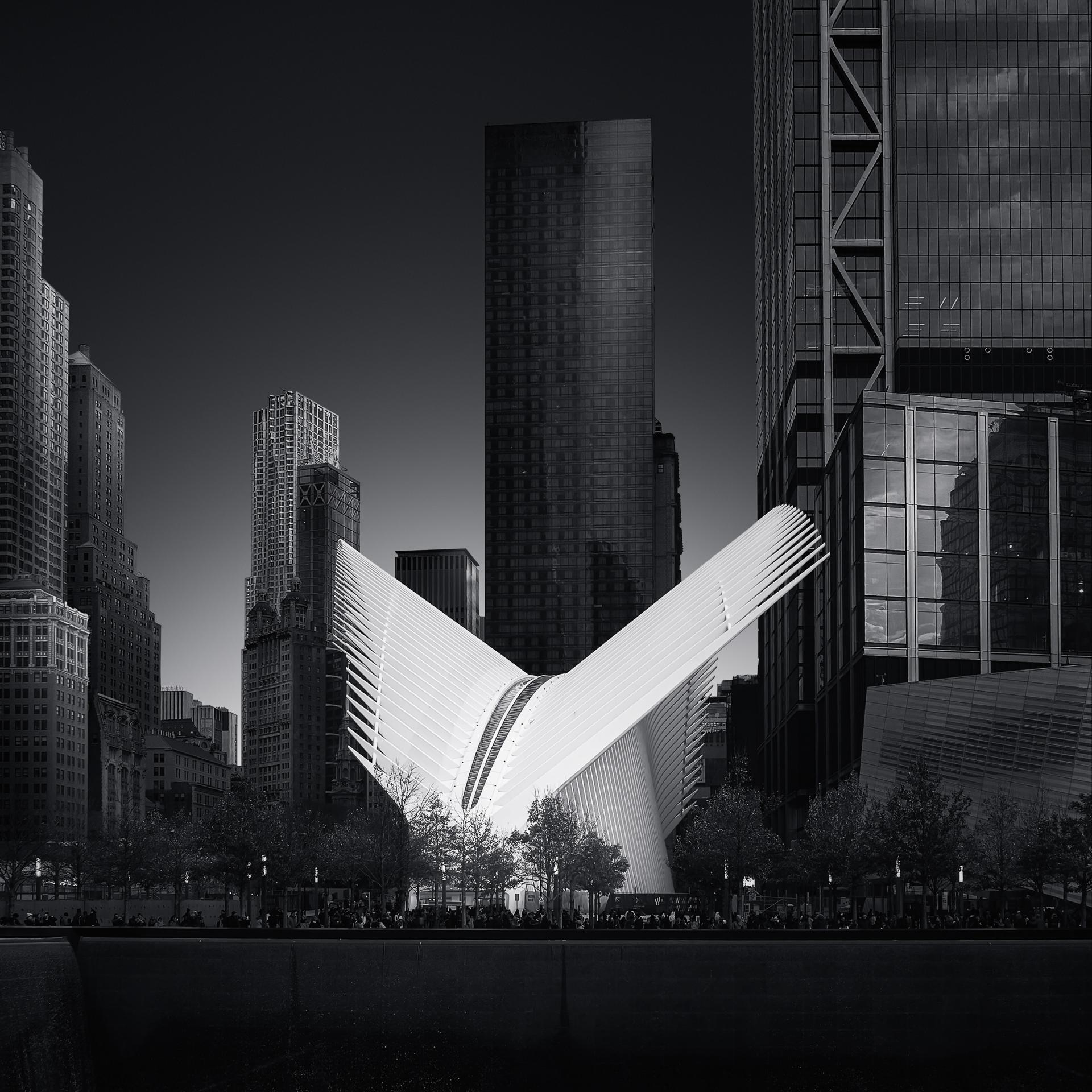 New York Photography Awards Winner - Manhattan wings