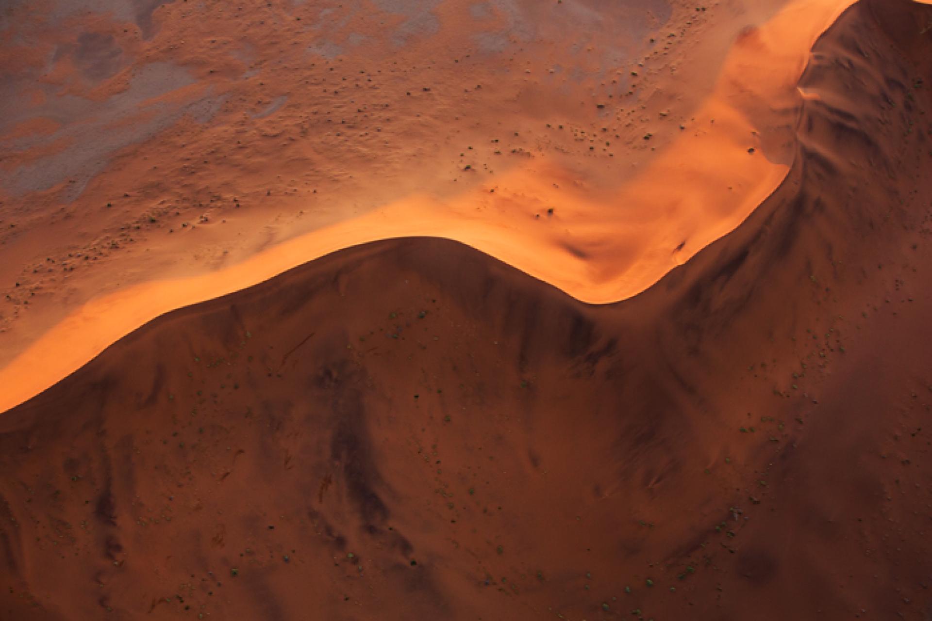 New York Photography Awards Winner - Windy Beauty