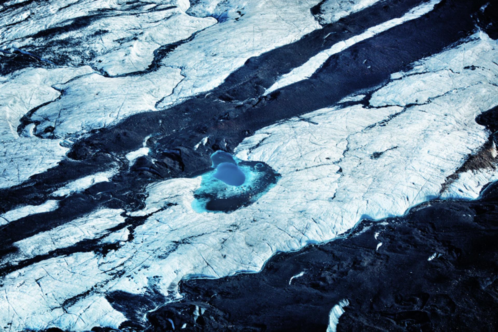 New York Photography Awards Winner - Deadly Environment 