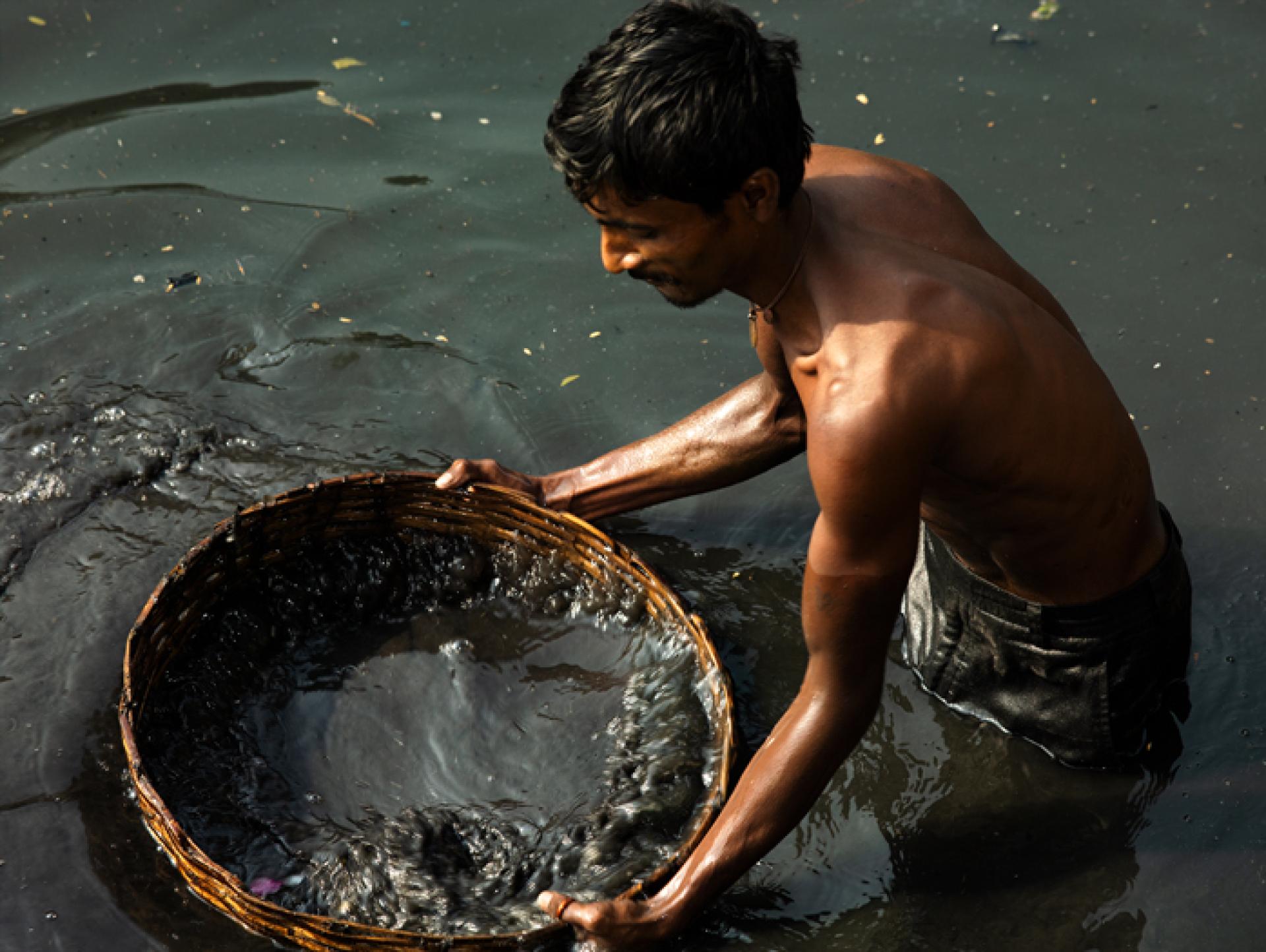 New York Photography Awards Winner - The Hidden Coins