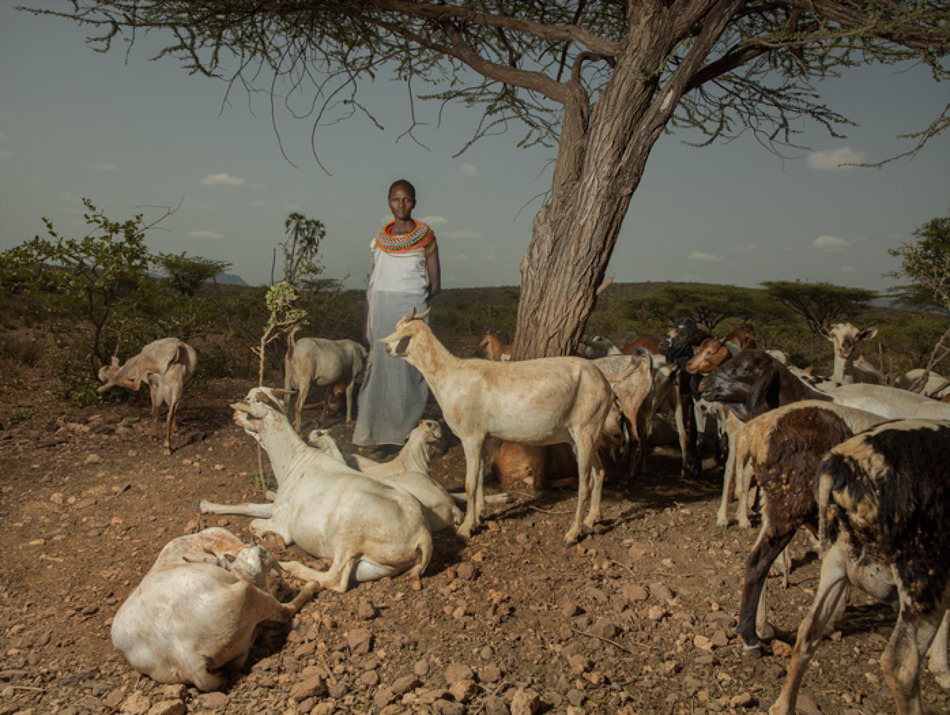 New York Photography Awards Winner - Taking Care