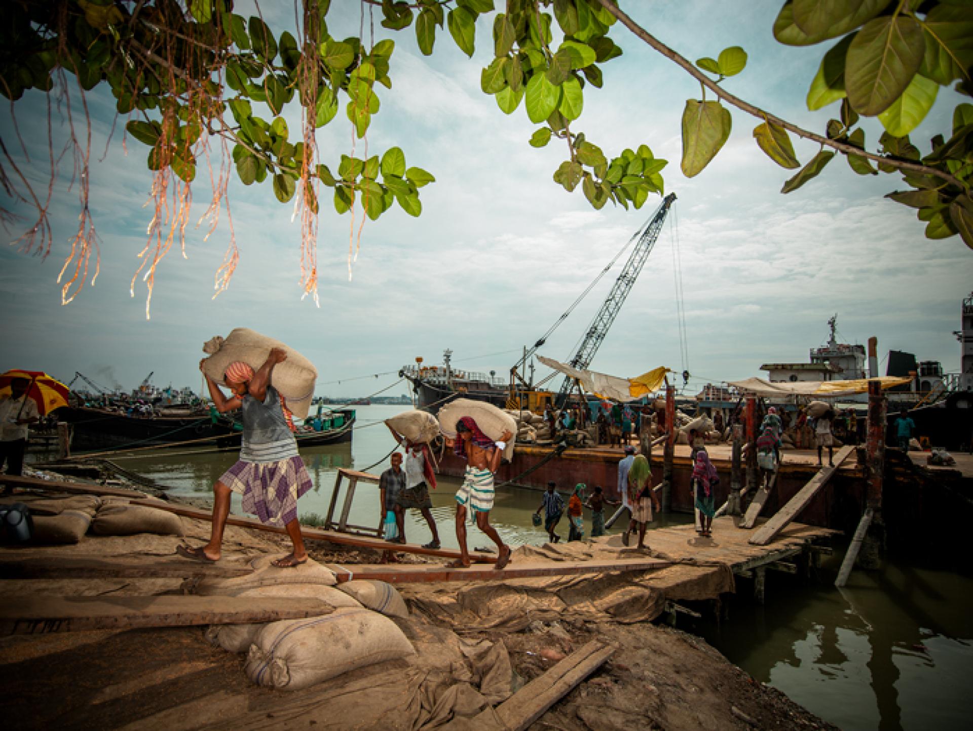 New York Photography Awards Winner - Heavy Load