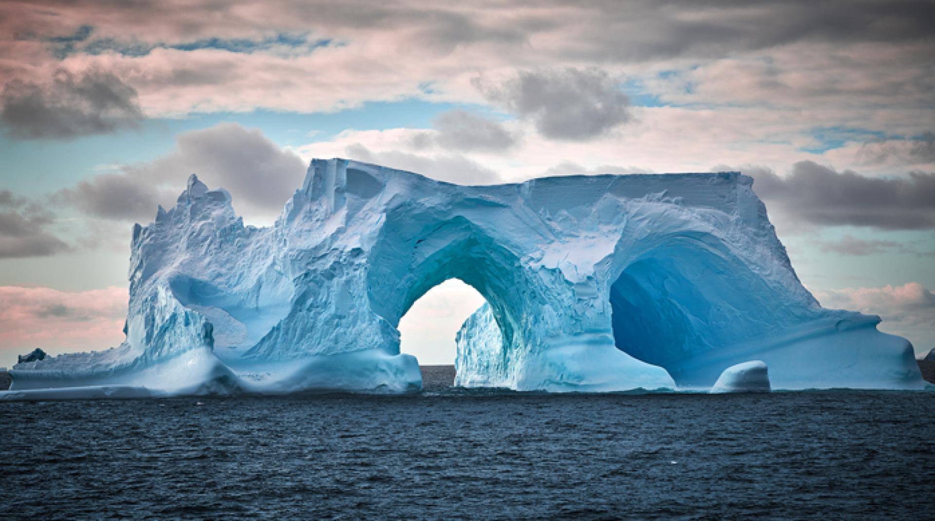 New York Photography Awards Winner - Our Wonderful World