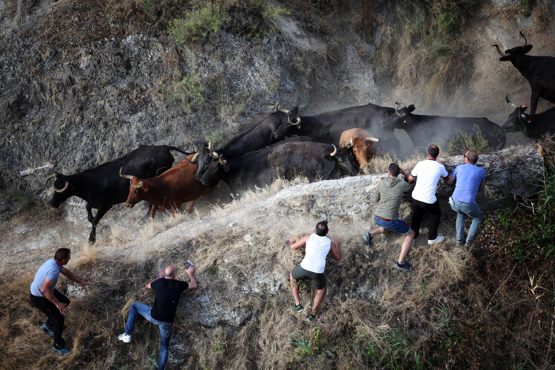 New York Photography Awards Winner - El Pilón