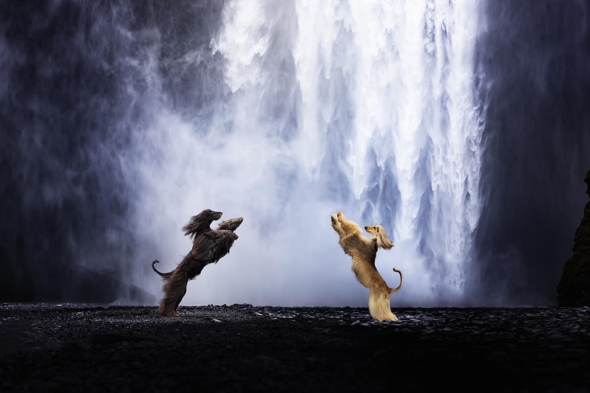 New York Photography Awards Winner - Iceland Dance