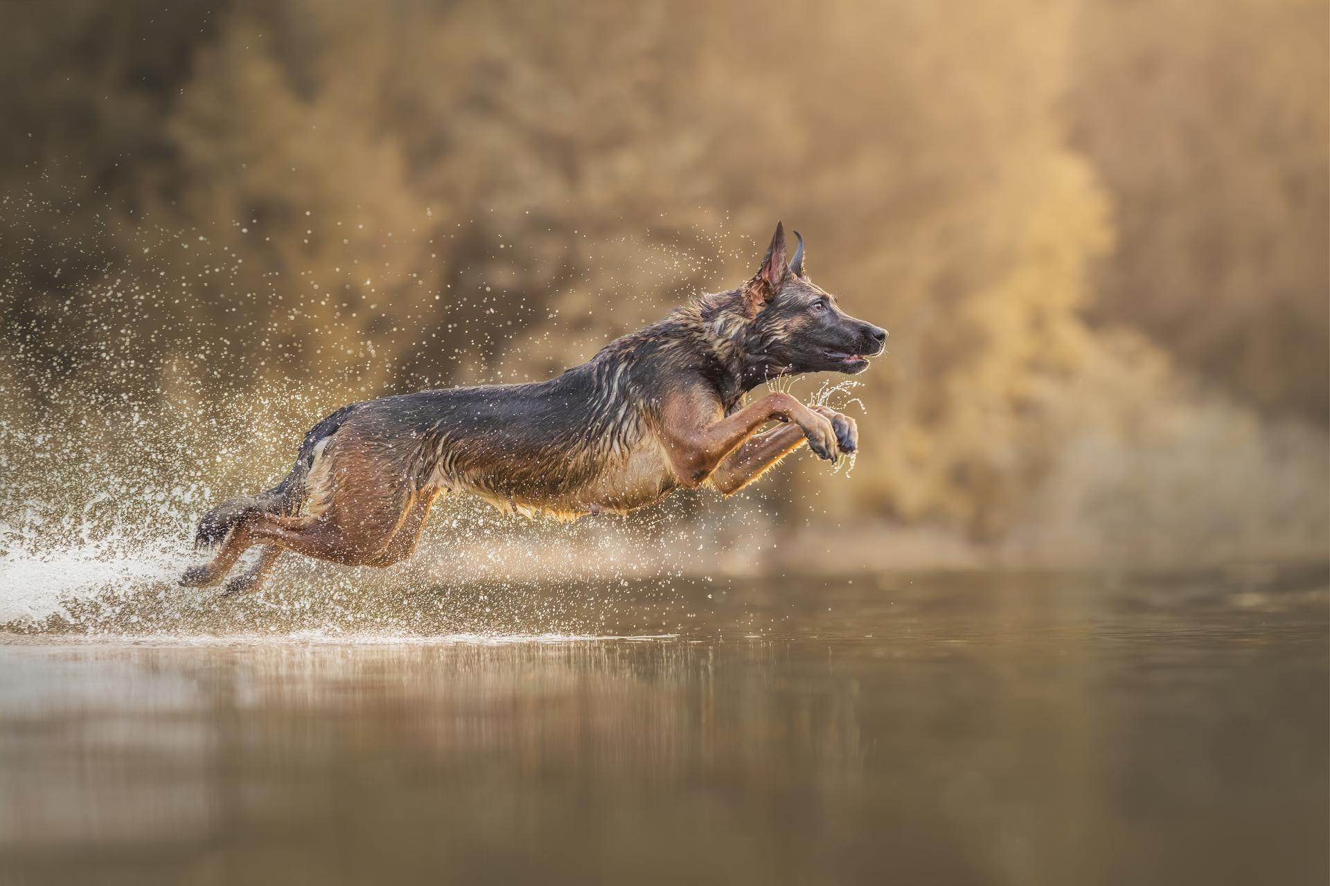 New York Photography Awards Winner - Take Off