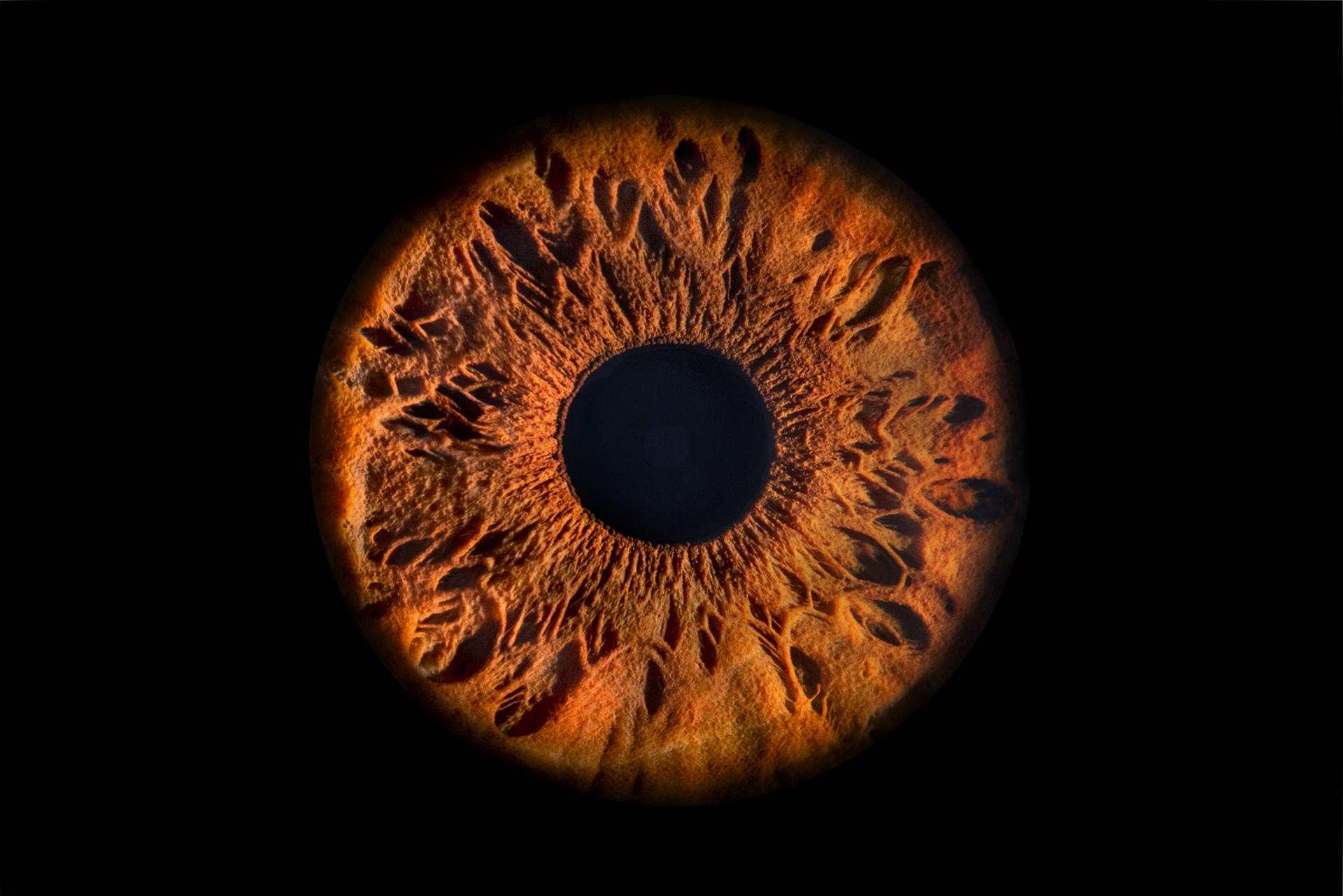 New York Photography Awards Winner - Iris Planets