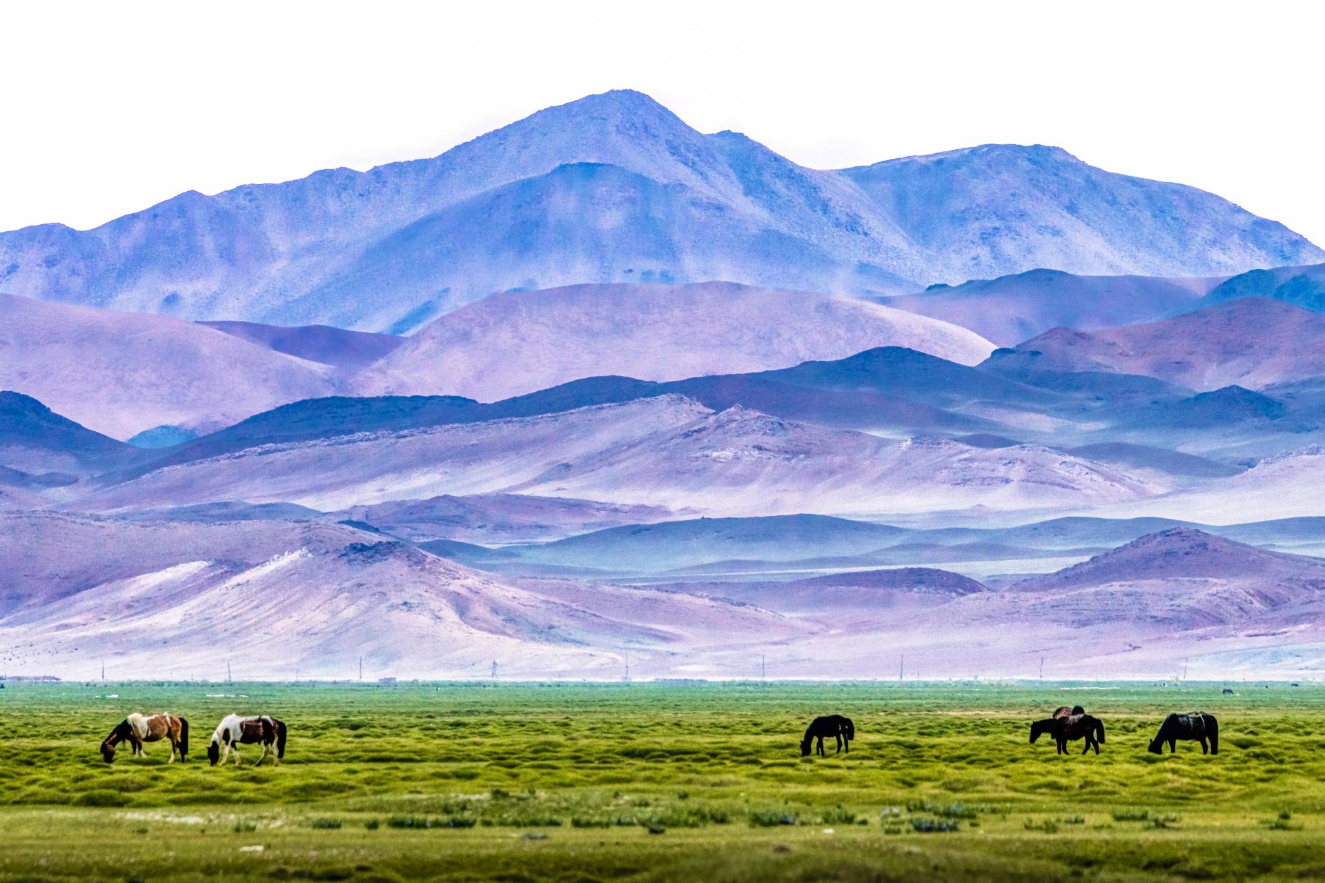 New York Photography Awards Winner - Nurtured by Nature: Mongolian Mountain Harmony