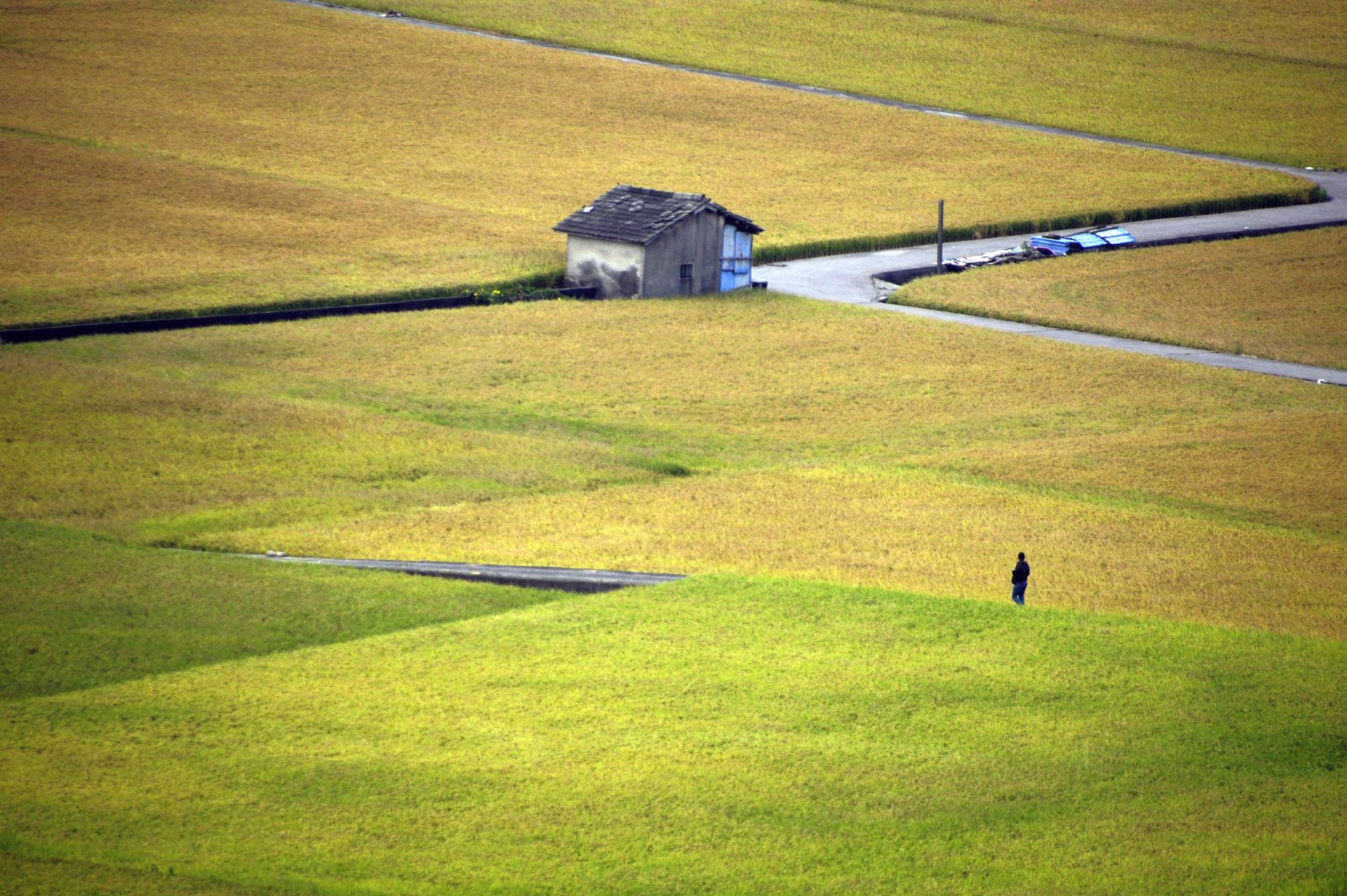 New York Photography Awards Winner - Solitude