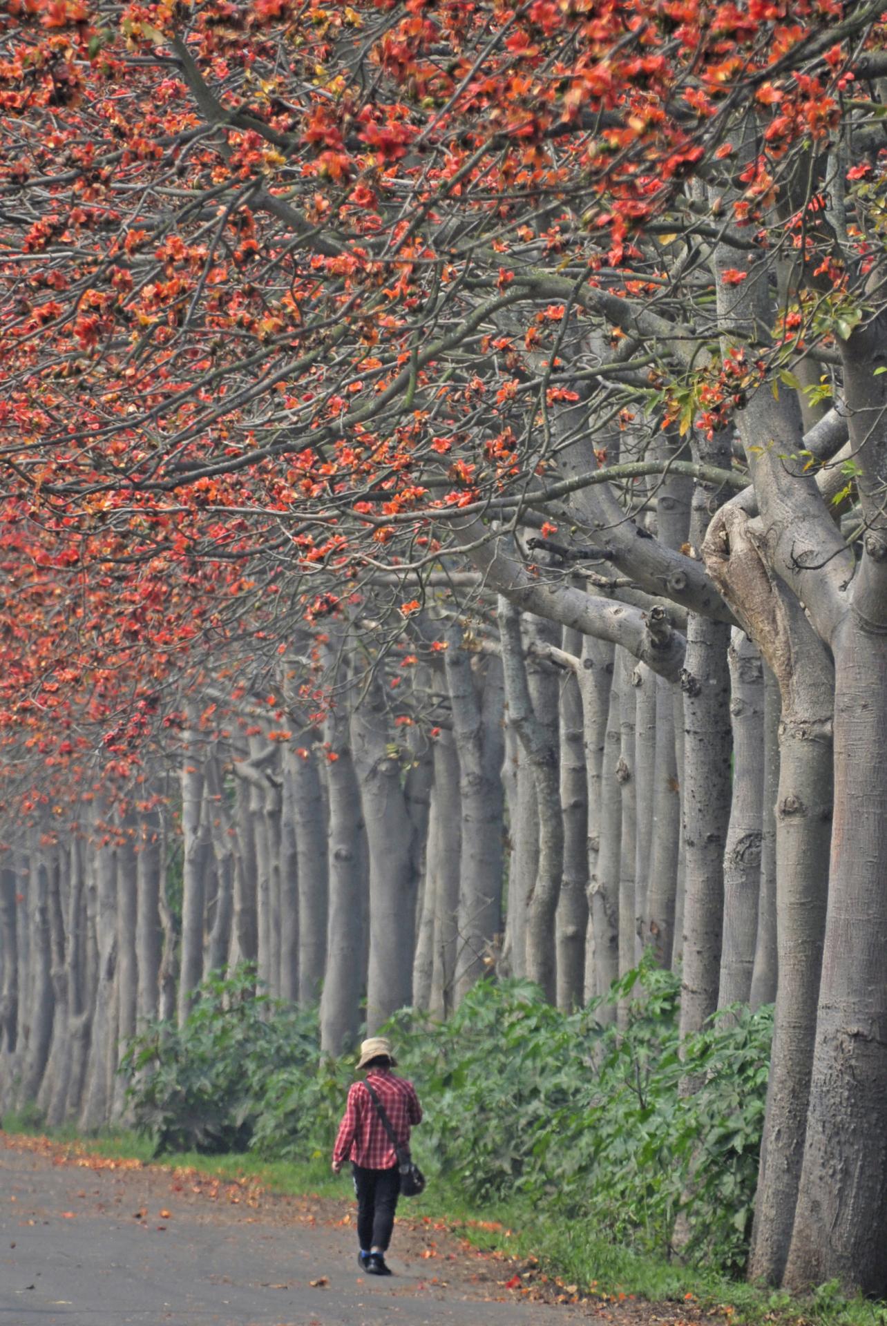 New York Photography Awards Winner - Solitude