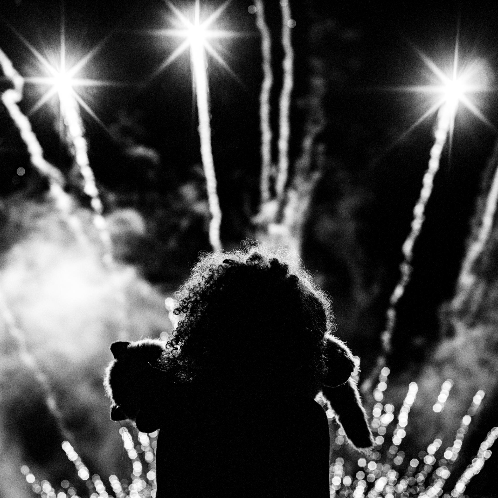 New York Photography Awards Winner - Me and my plush cat watching the fireworks