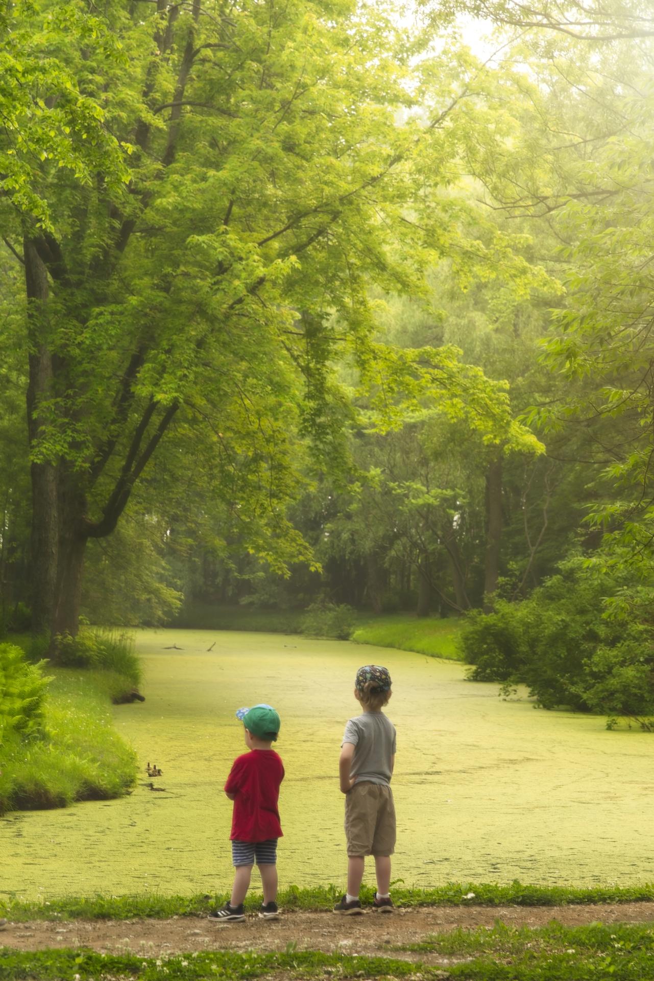 New York Photography Awards Winner - Little Boys and Baby Ducks