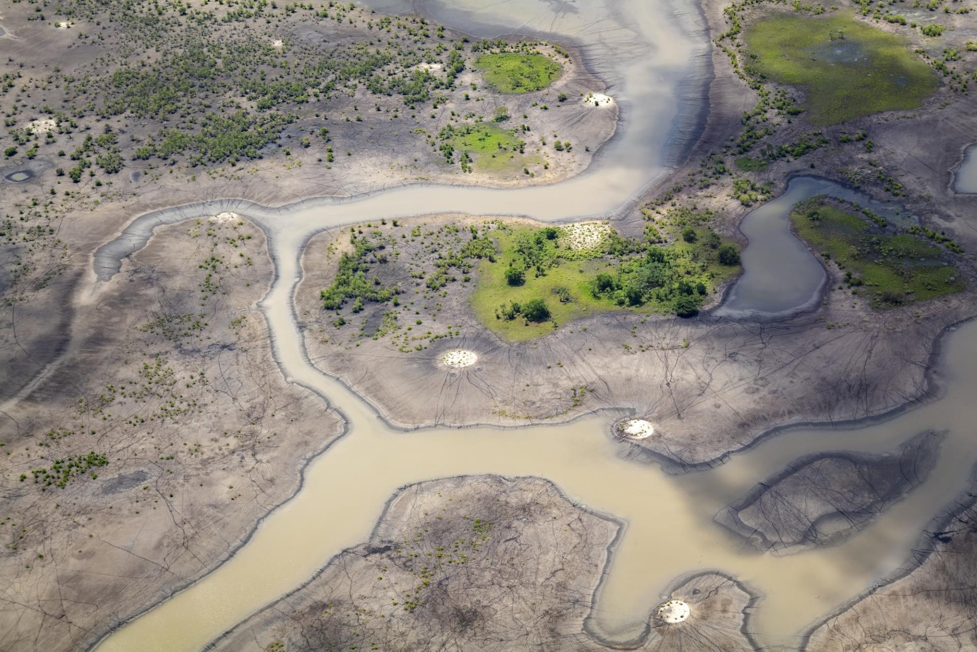 New York Photography Awards Winner - Natures Maze