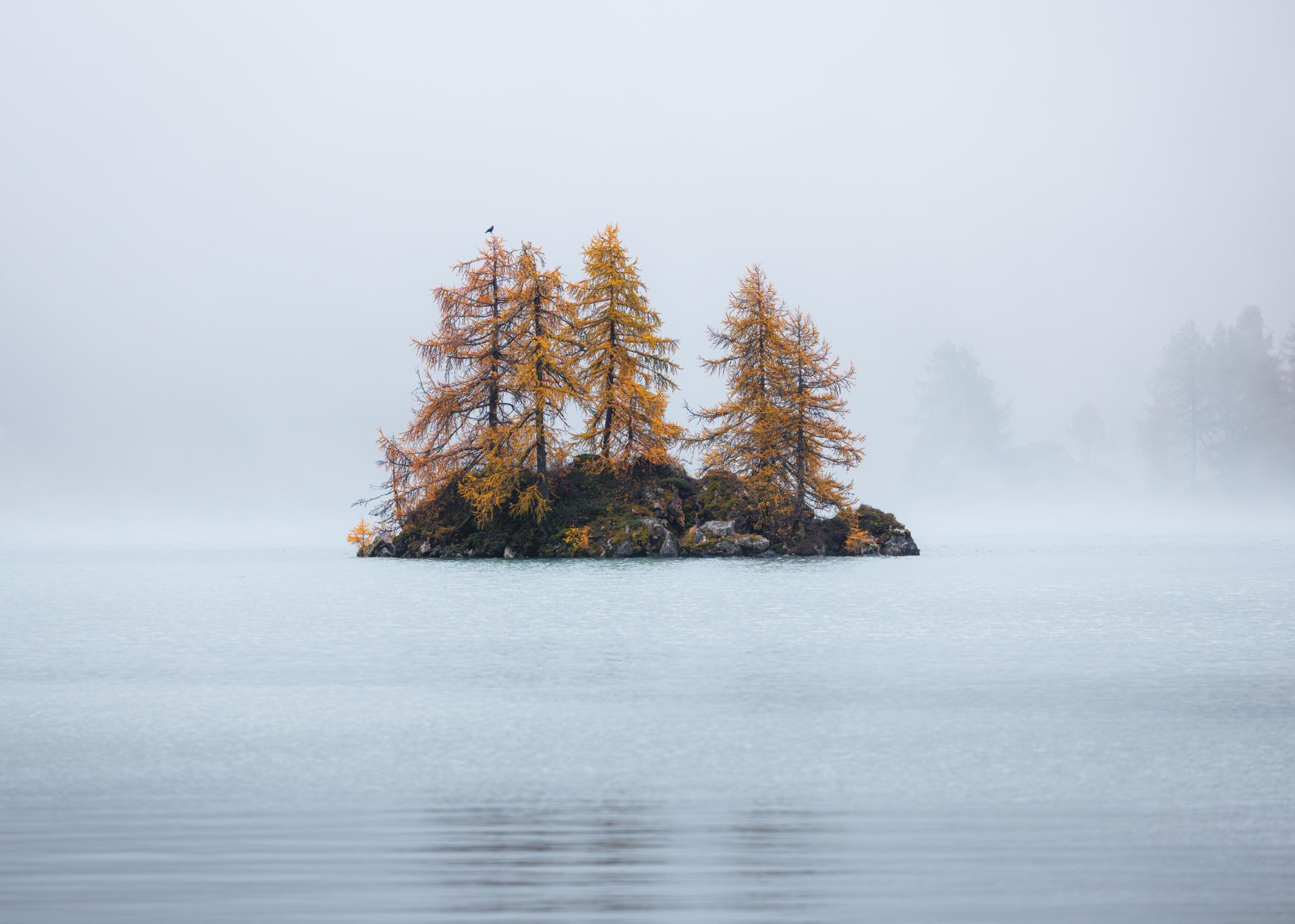 New York Photography Awards Winner - Islet in the Fog