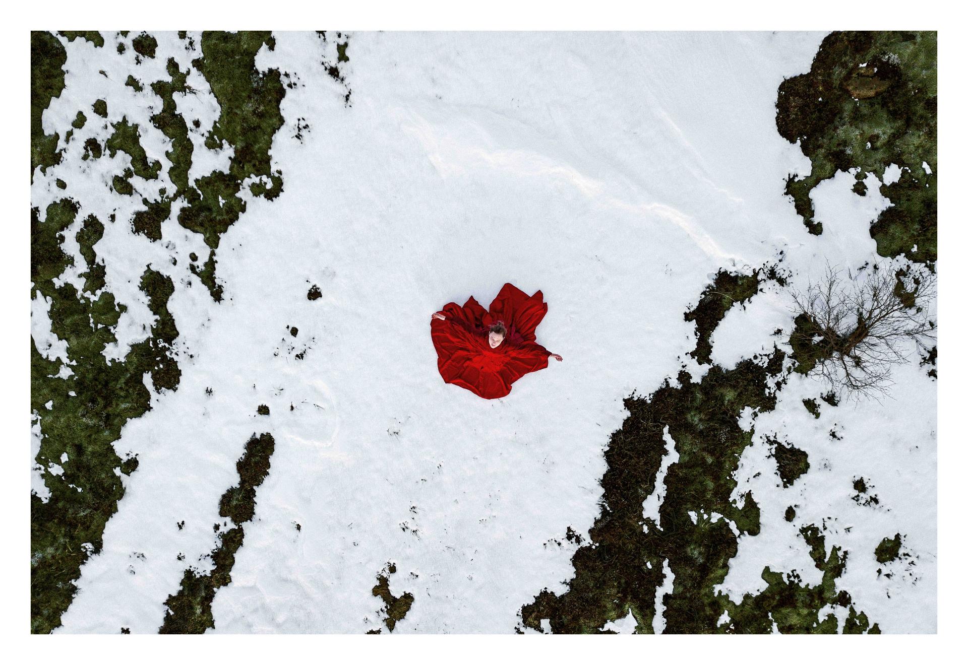 New York Photography Awards Winner - Happy After Ever