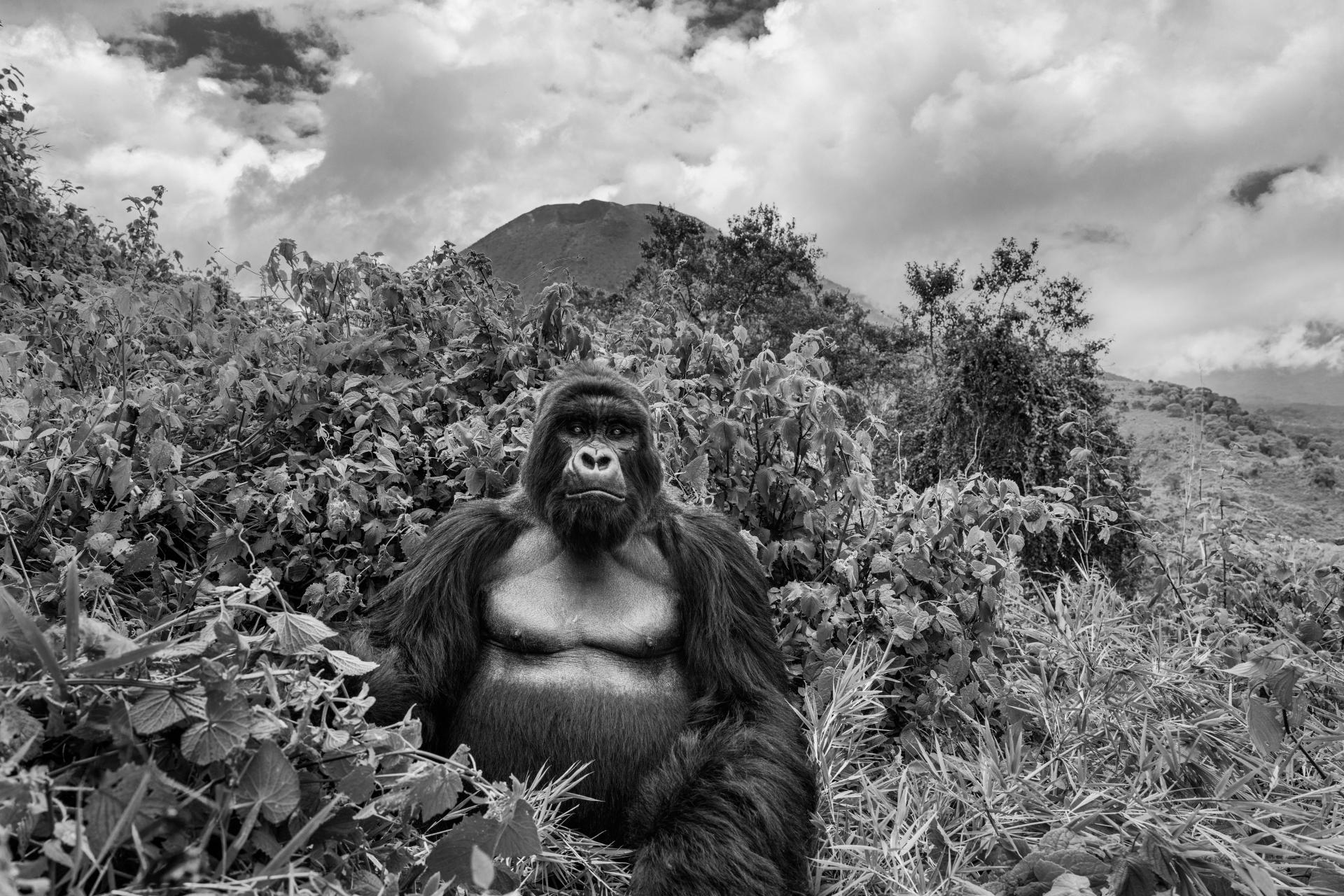 New York Photography Awards Winner - Born to Lead