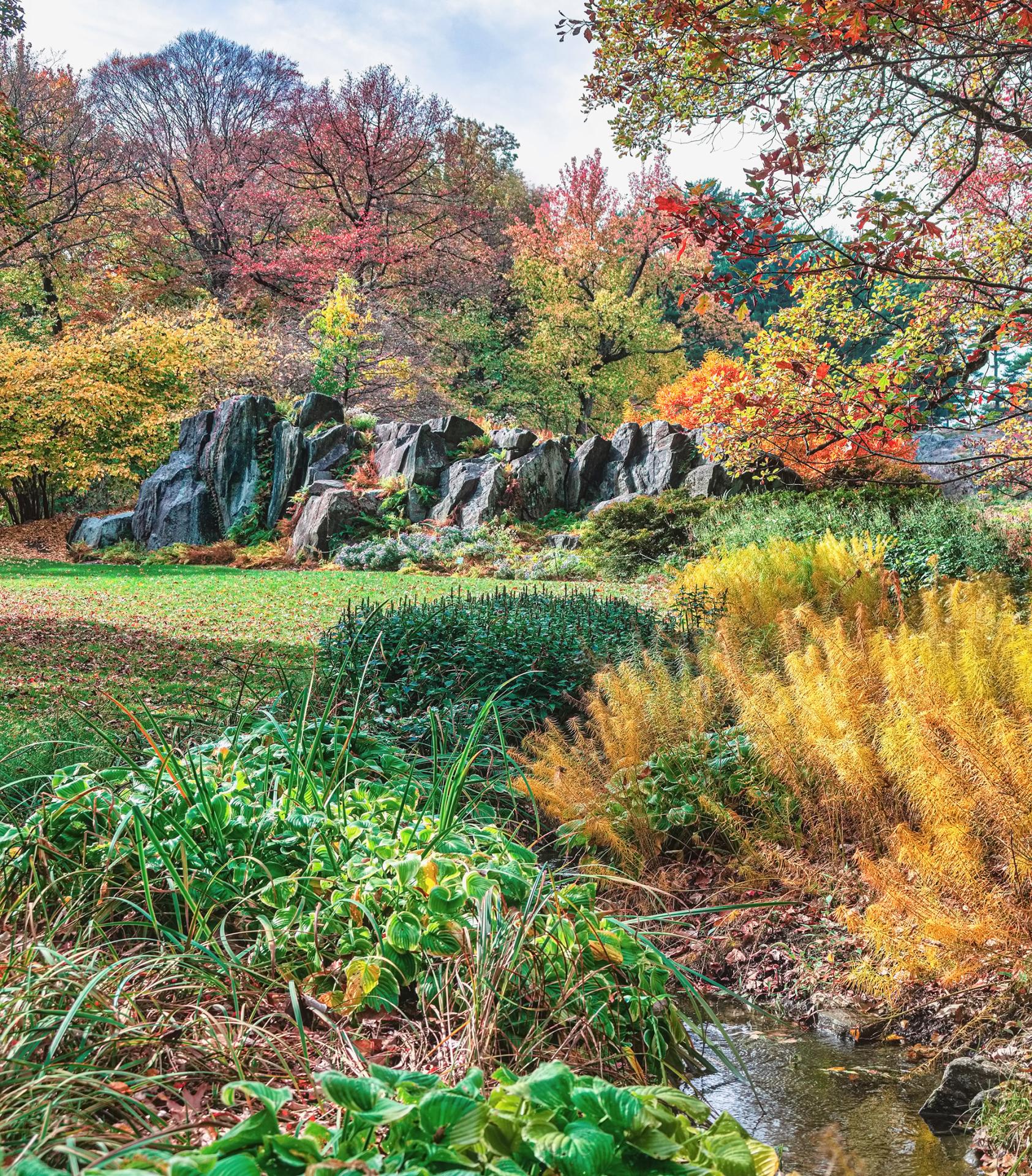 New York Photography Awards Winner - Autumn in the Bronx