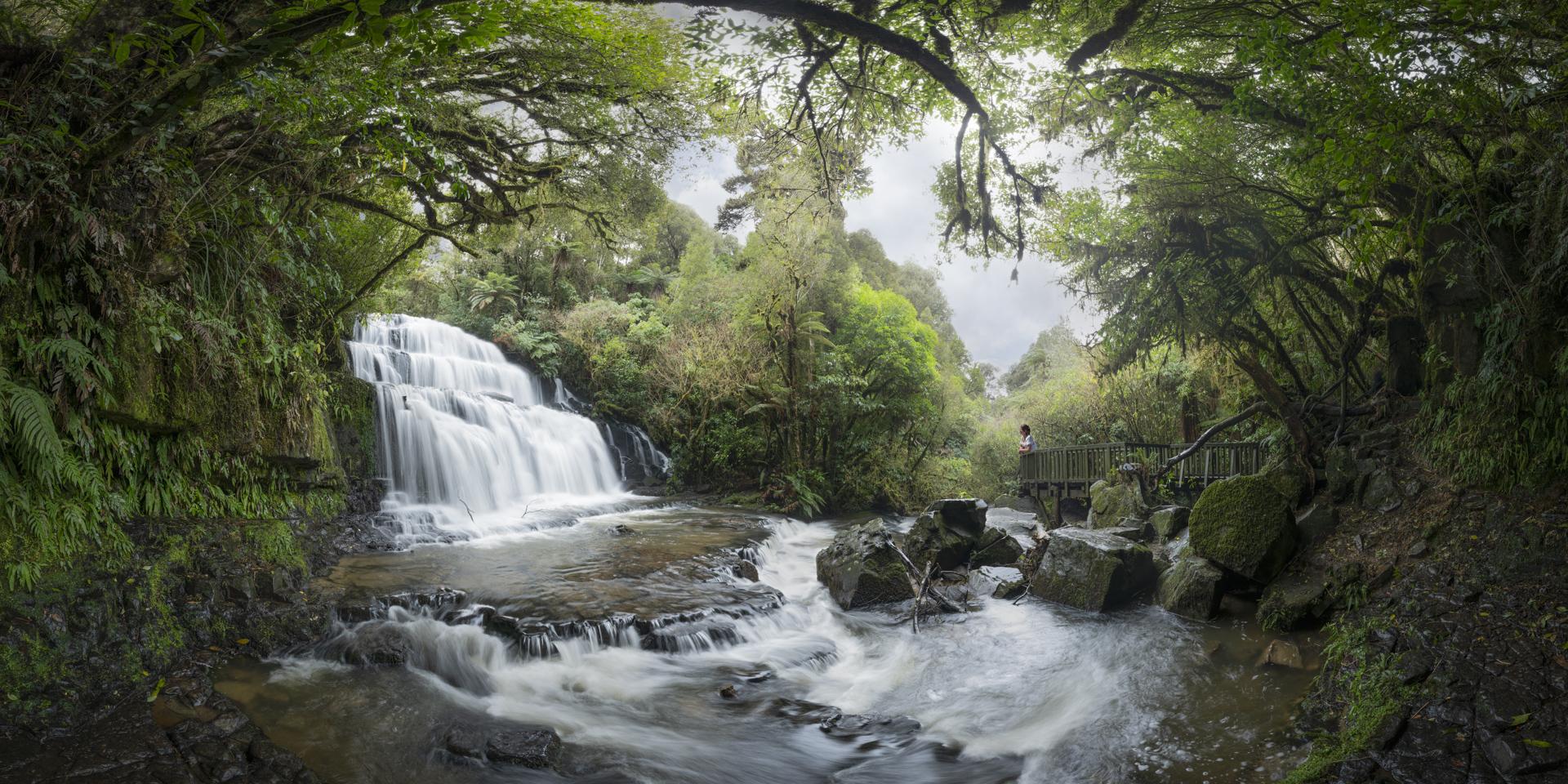 New York Photography Awards Winner - Purakaunui Falls