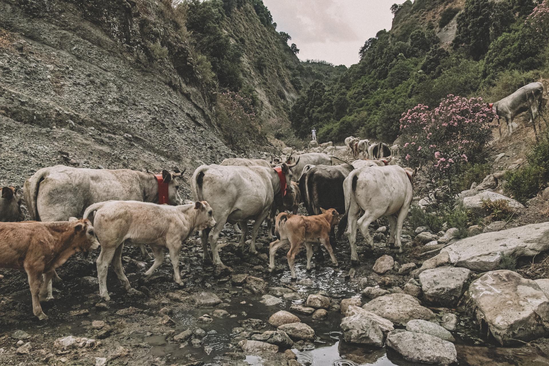 New York Photography Awards Winner - Hidden Calabria