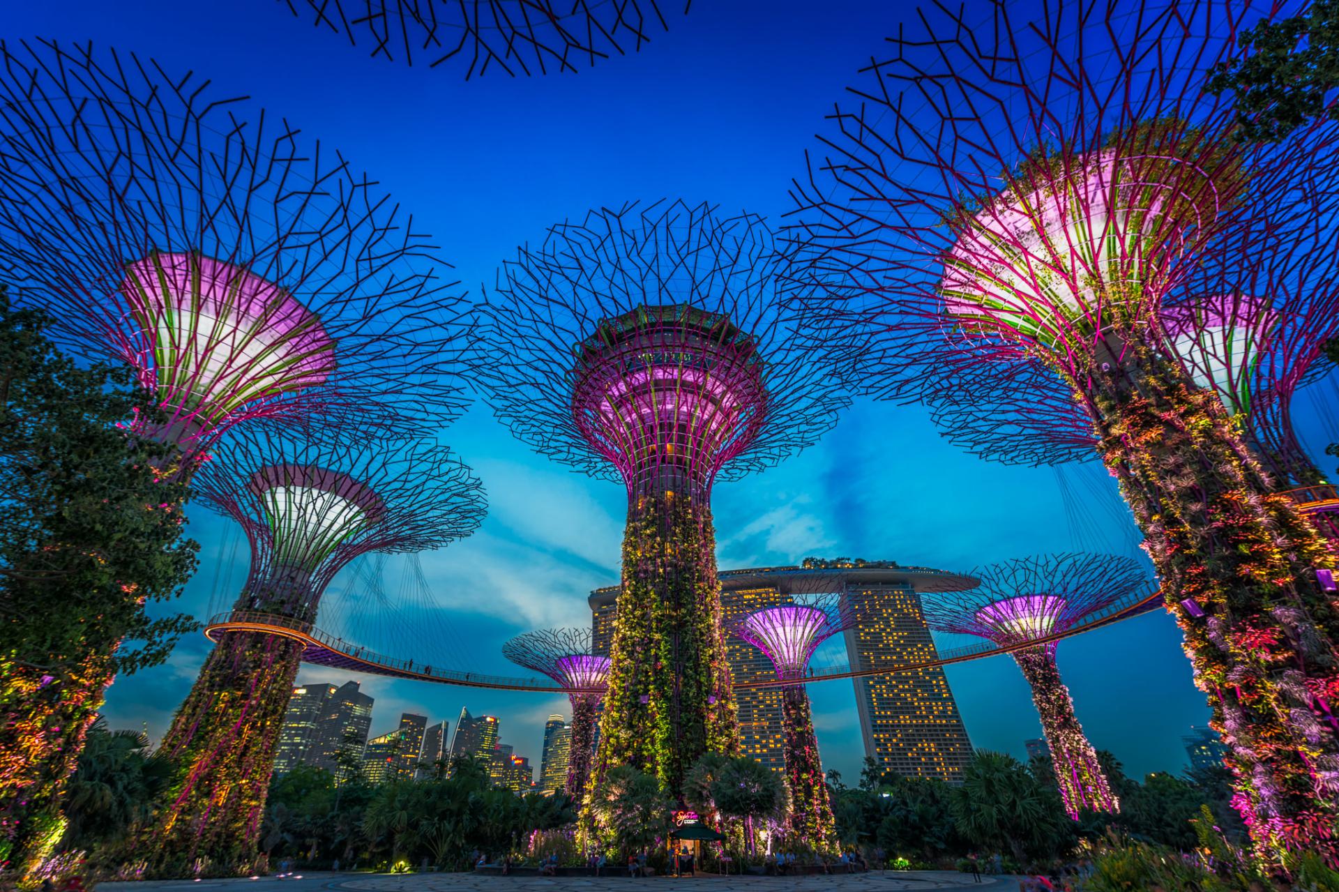 New York Photography Awards Winner - Gardens By The Bay | Singapore