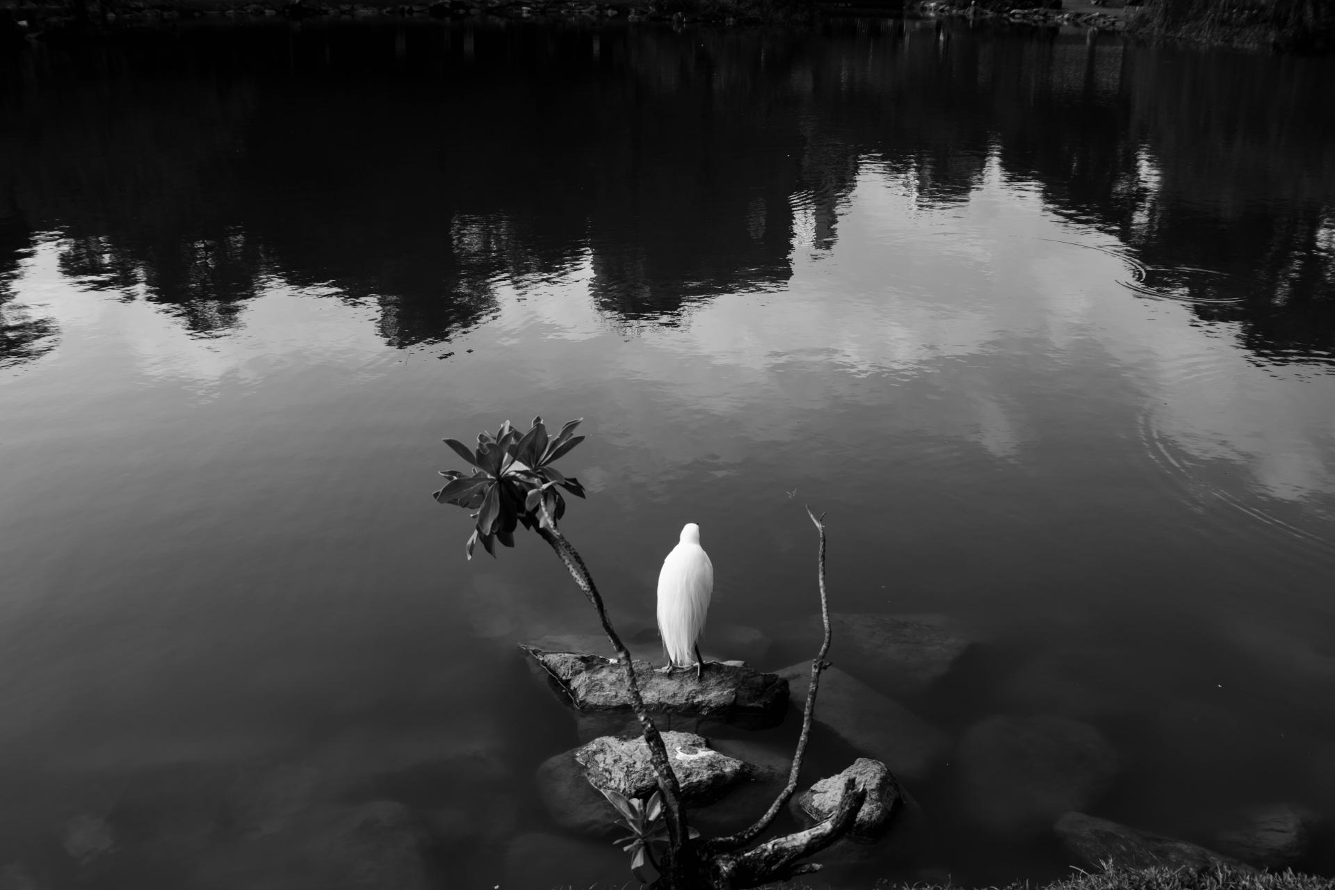 New York Photography Awards Winner - Prints of Time, Fusion of Light and Shadow