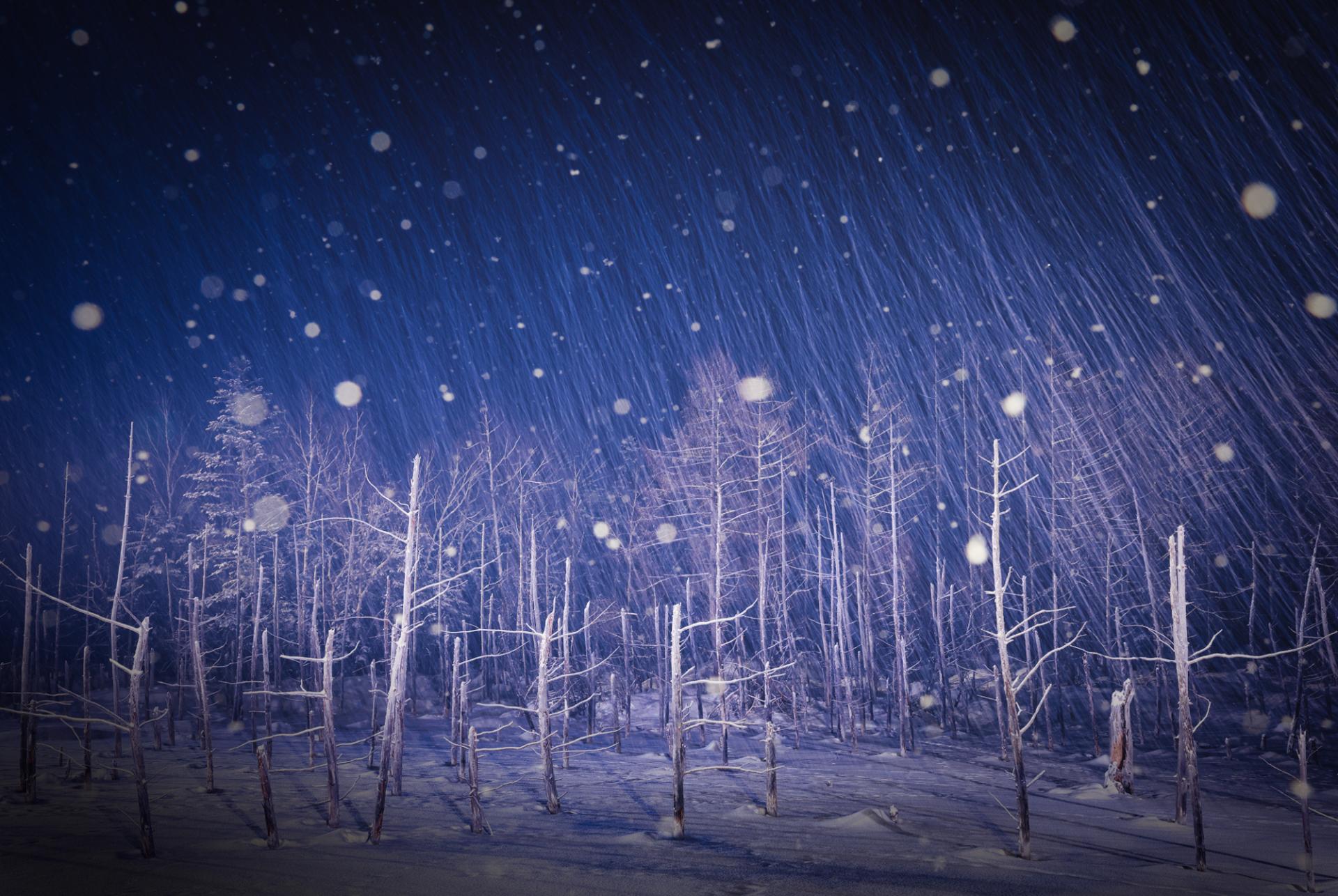 New York Photography Awards Winner - Dreamy winter 