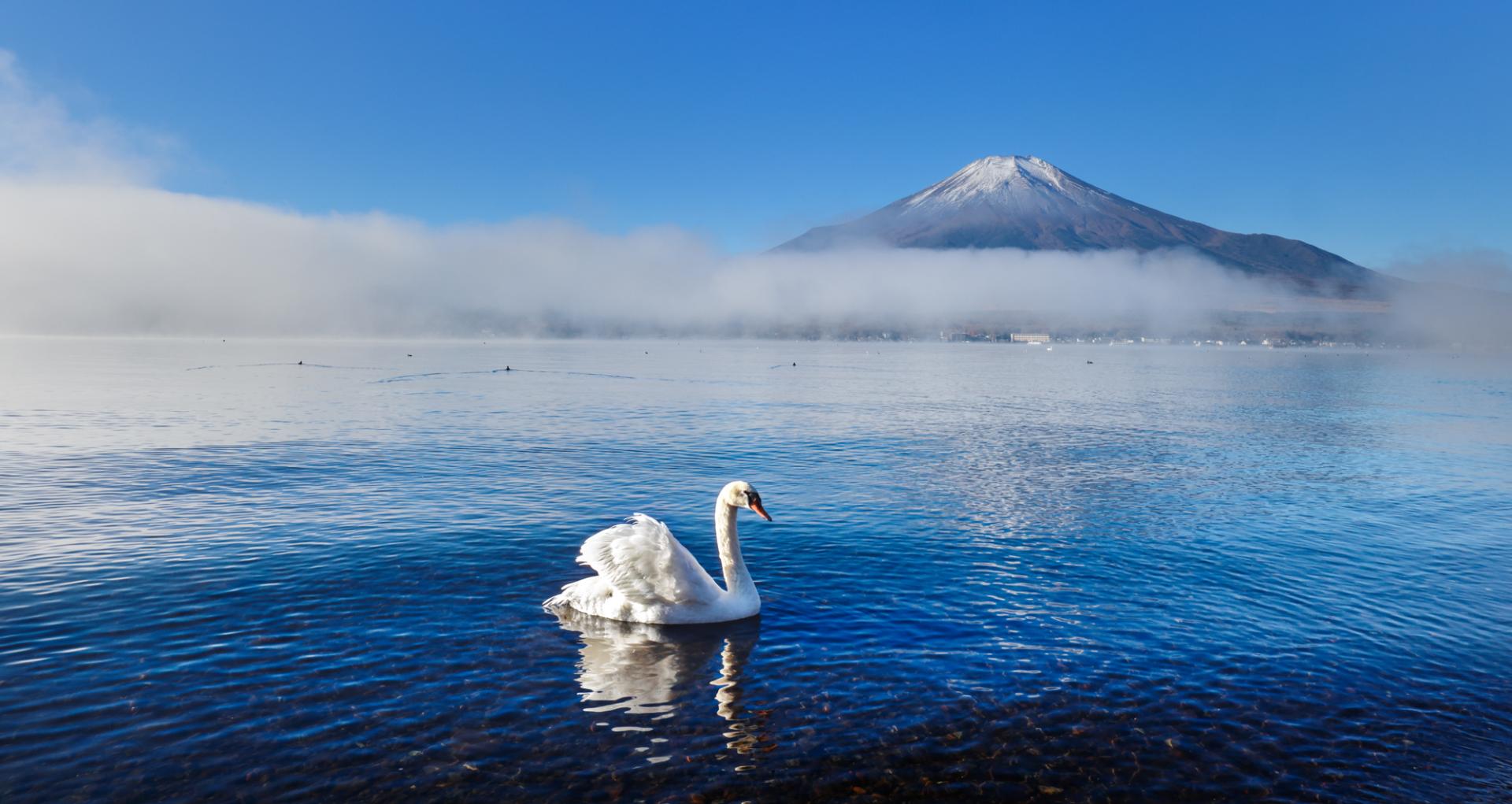 New York Photography Awards Winner - Dreamy winter 