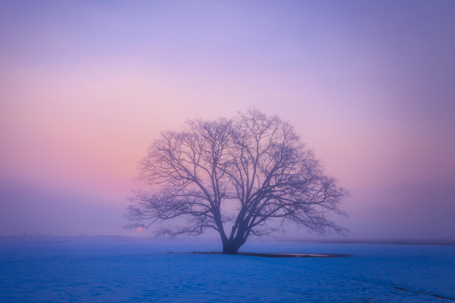 New York Photography Awards Winner - Dreamy winter 