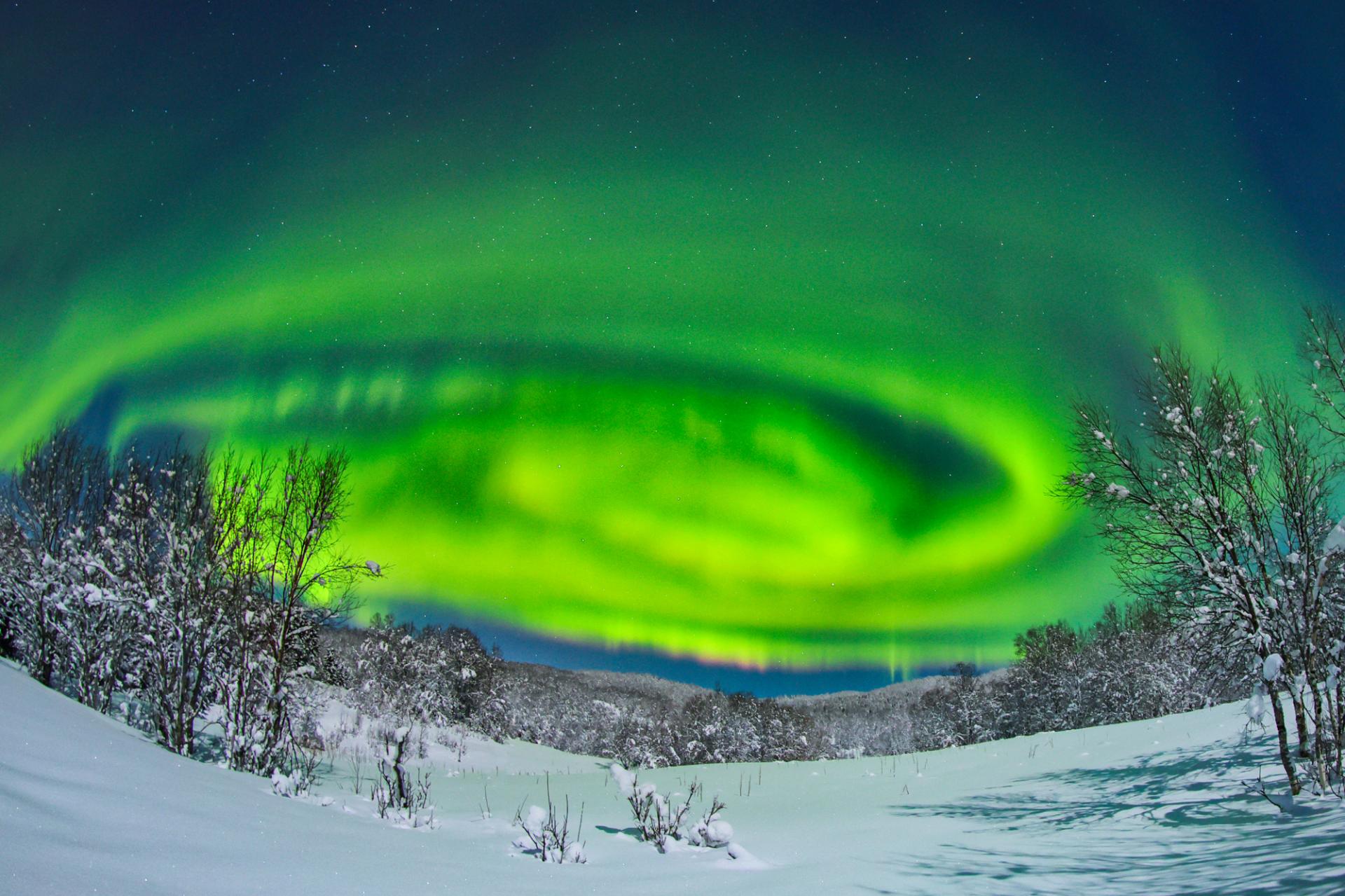 New York Photography Awards Winner - Dreamy aurora