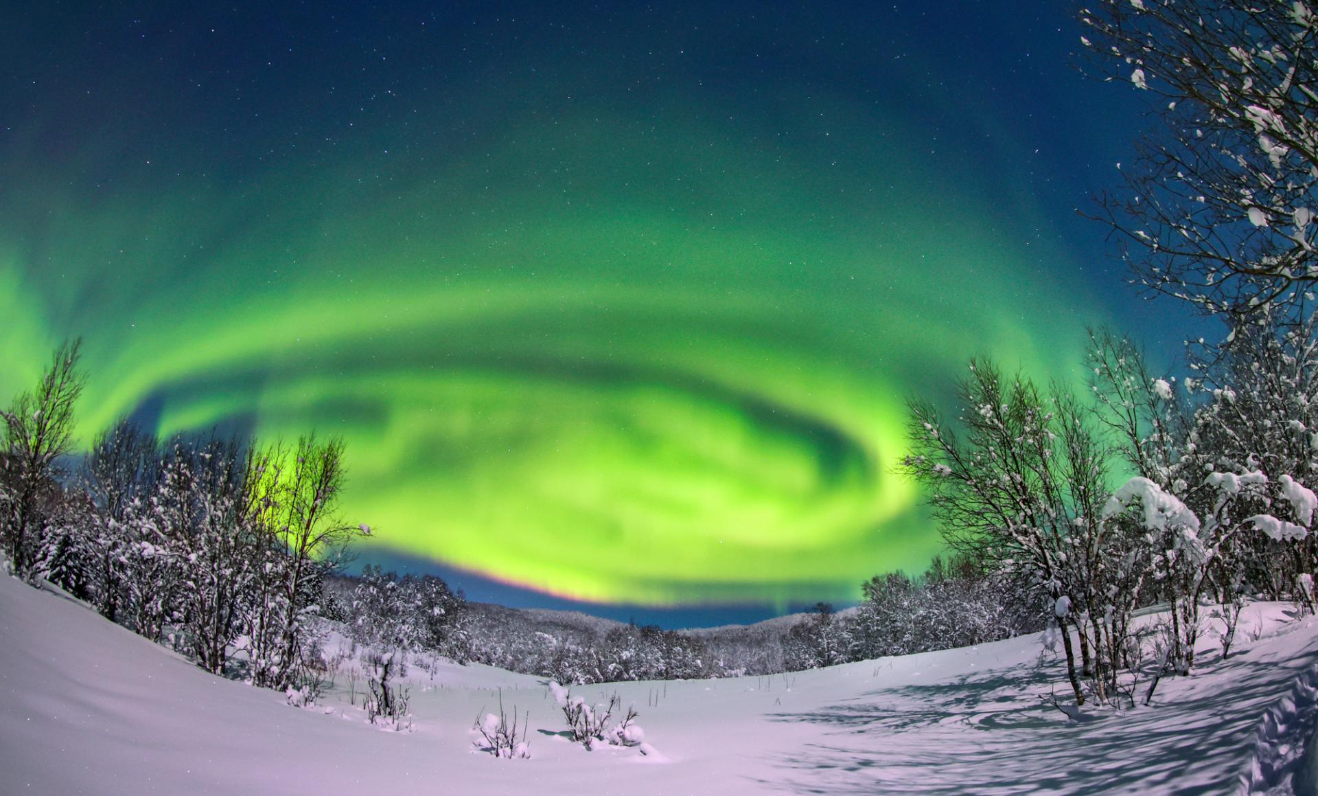 New York Photography Awards Winner - Dreamy aurora