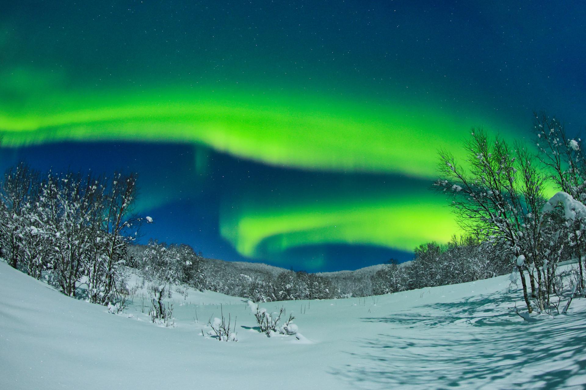 New York Photography Awards Winner - Dreamy aurora