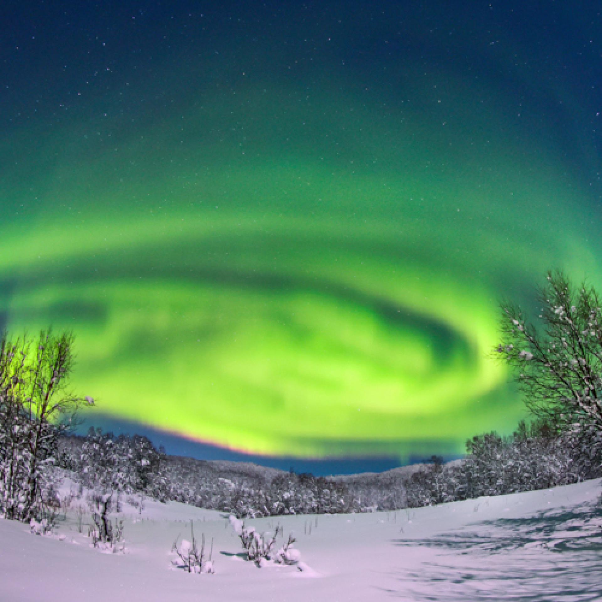 New York Photography Awards Winner - Dreamy aurora