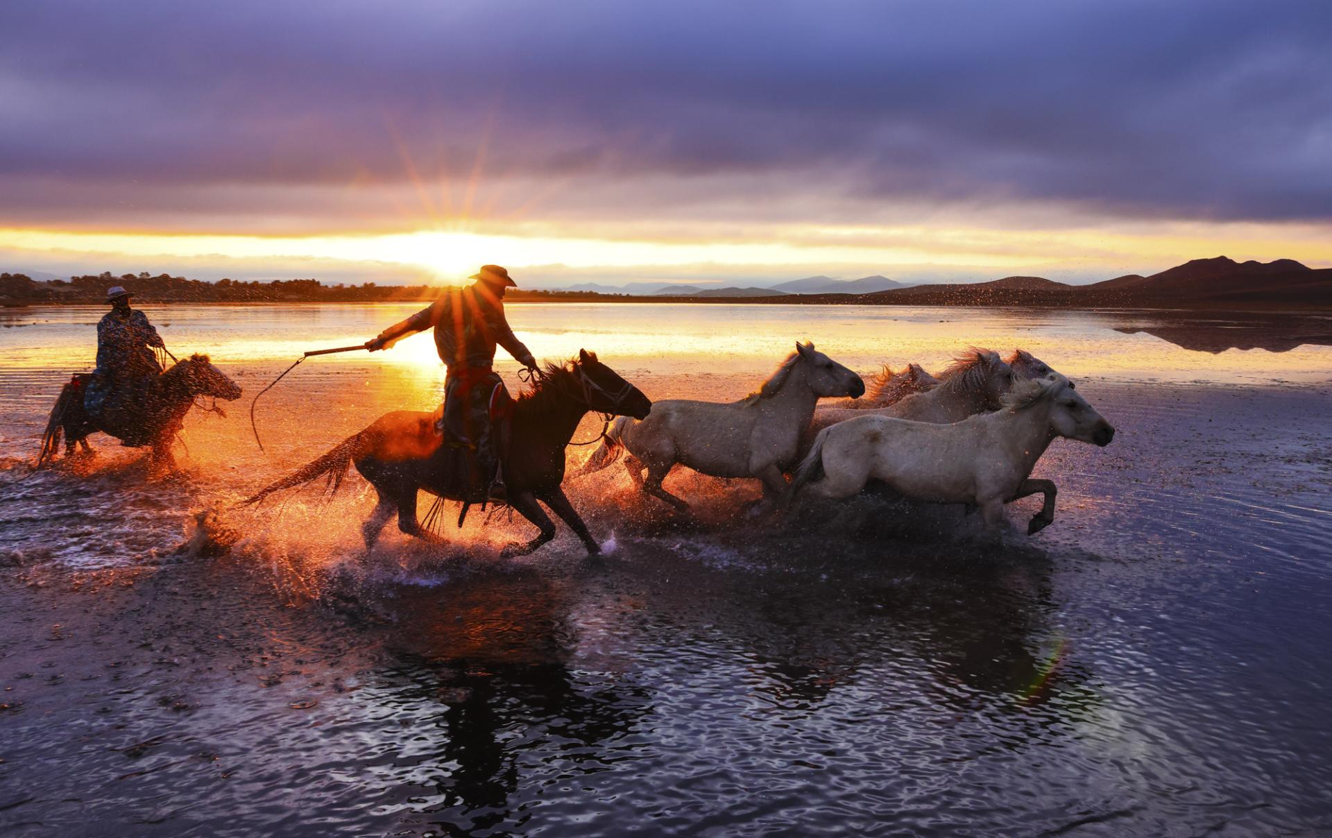 New York Photography Awards Winner - Horse riding on water