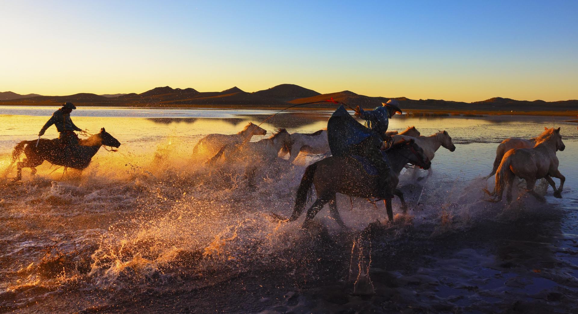 New York Photography Awards Winner - Horse riding on water