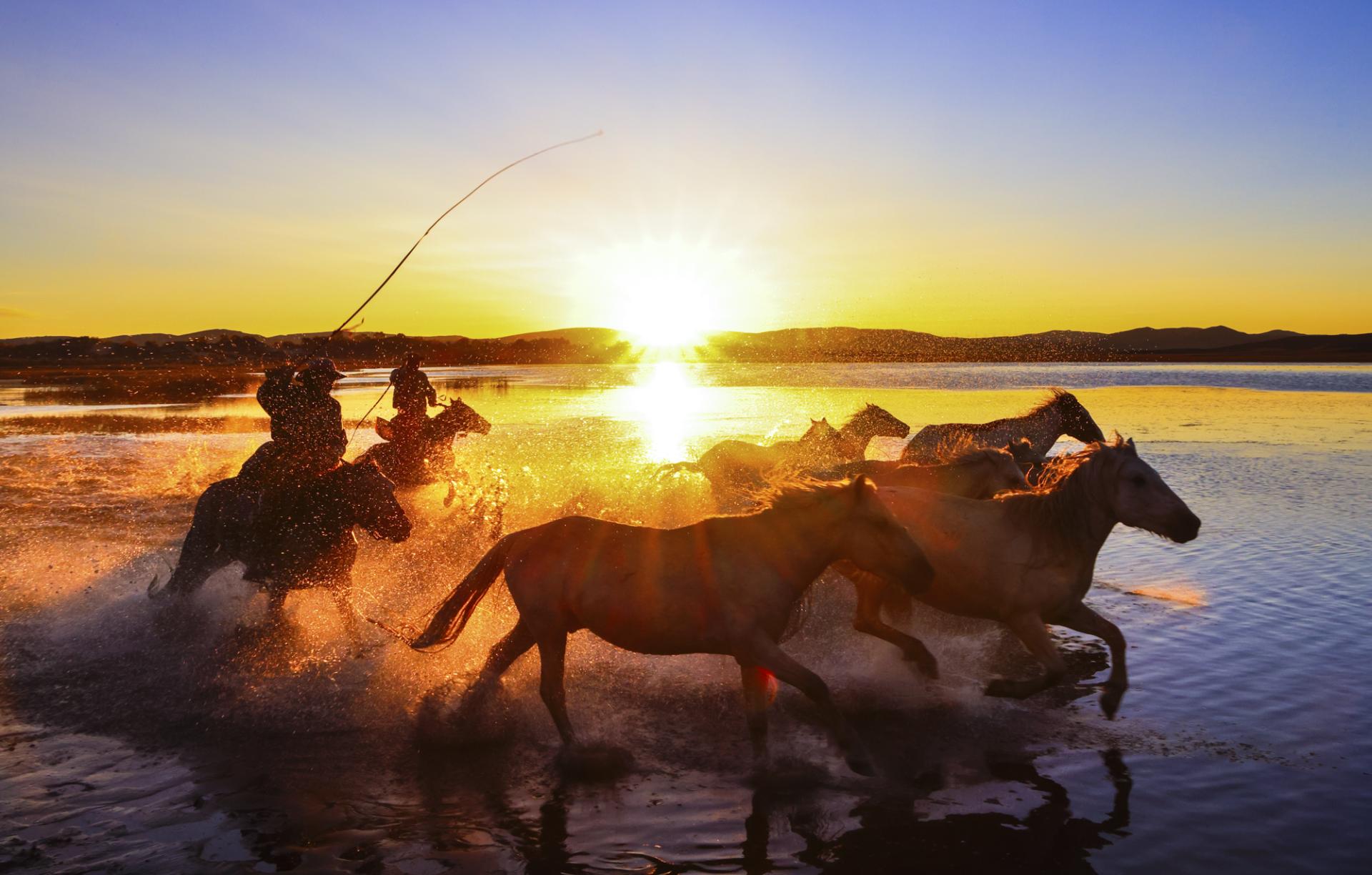 New York Photography Awards Winner - Horse riding on water