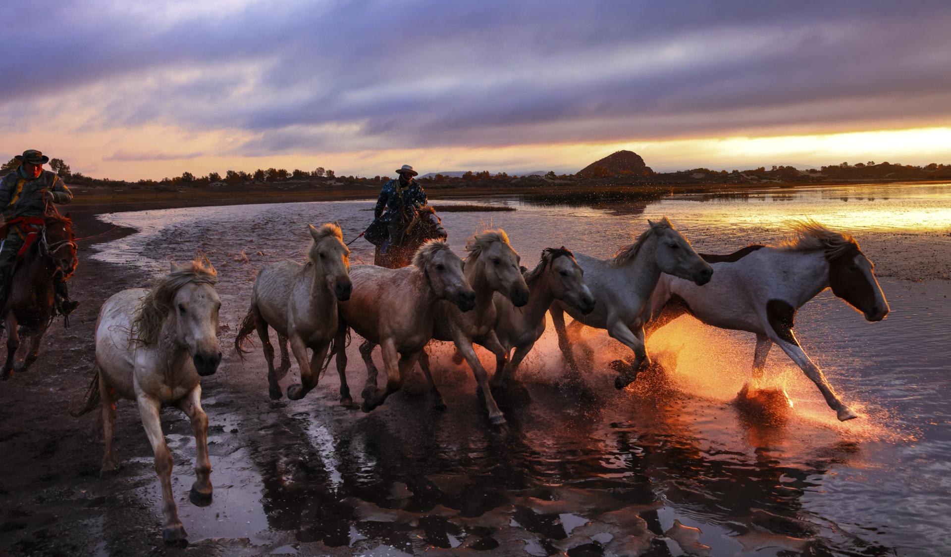 New York Photography Awards Winner - Horse riding on water